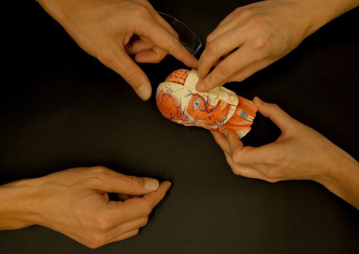 Utstilling på BO: "LIV LAGA SEG BEVISLØSE TILSTANDER"