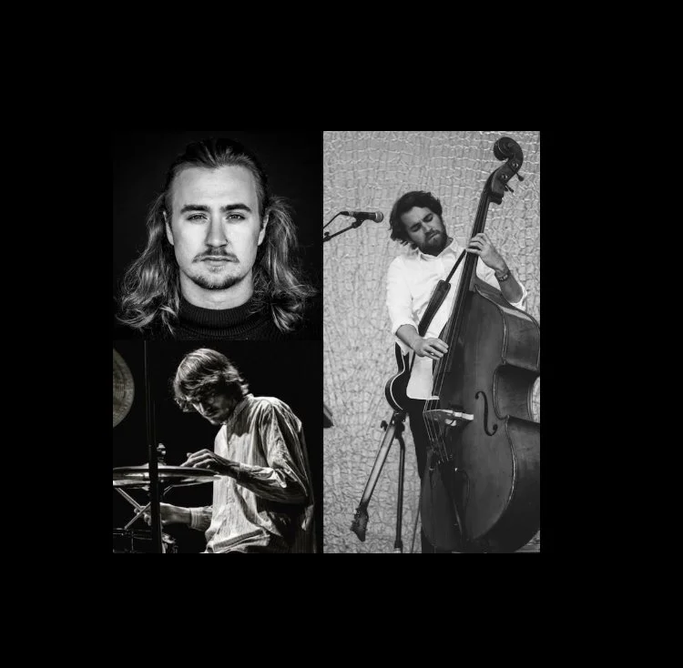 Helmers / Poulsen / Winther // SKATTEN