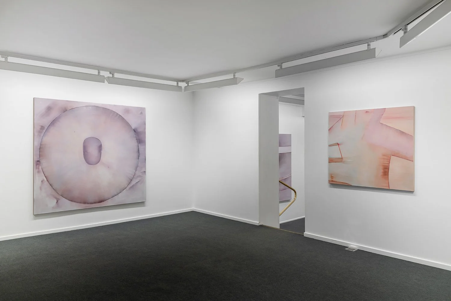 Nina Roos, The Image is Collapsed into the Body