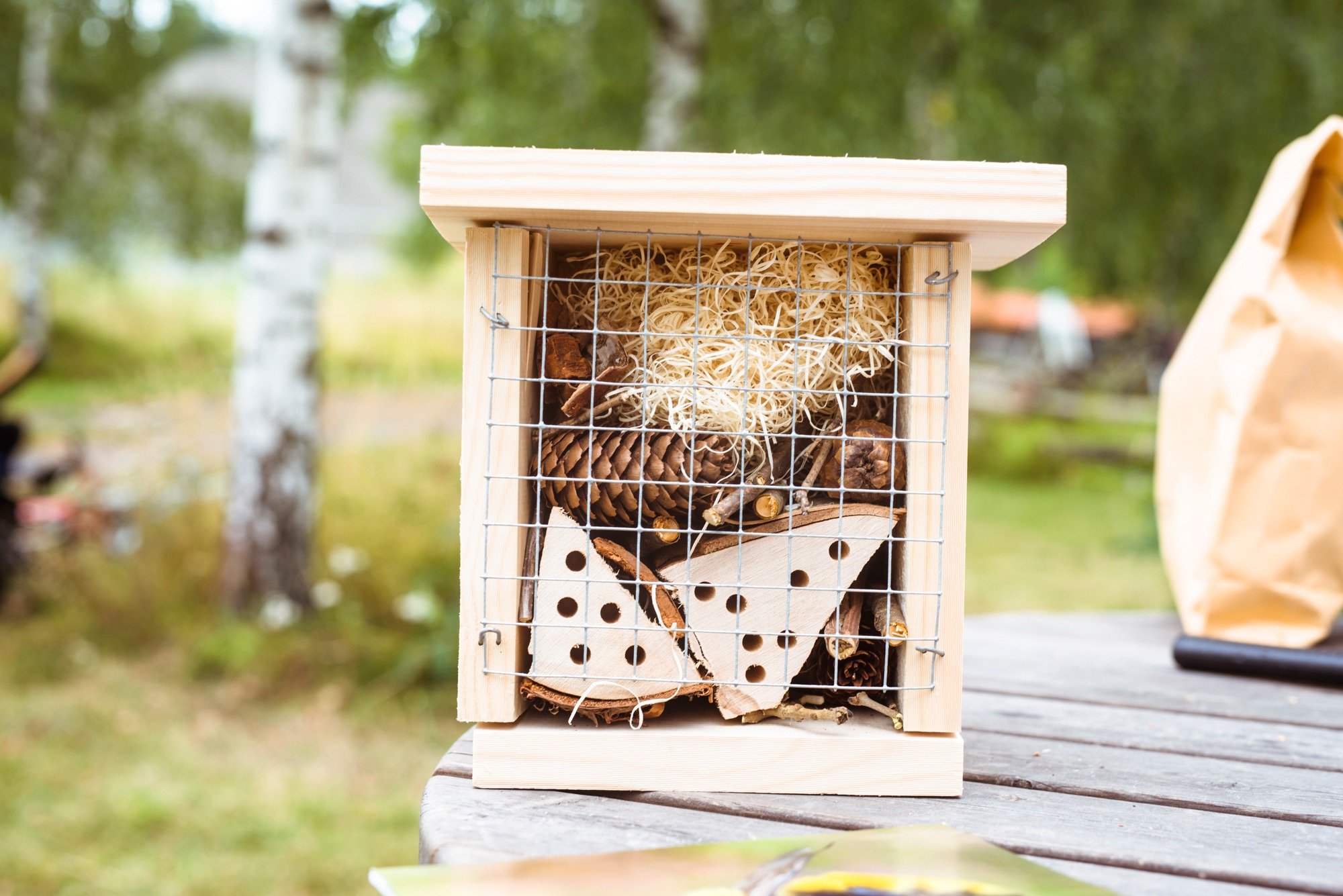 Snekring av insektshotell