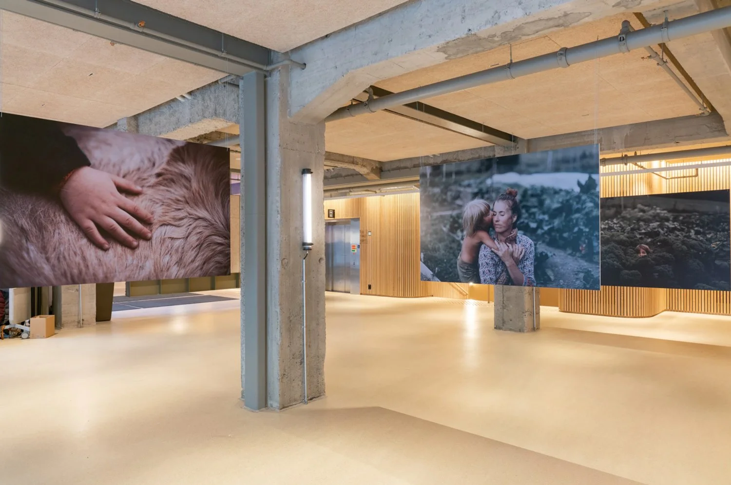 FOTOUTSTILLING: UKJENT LANDSKAP