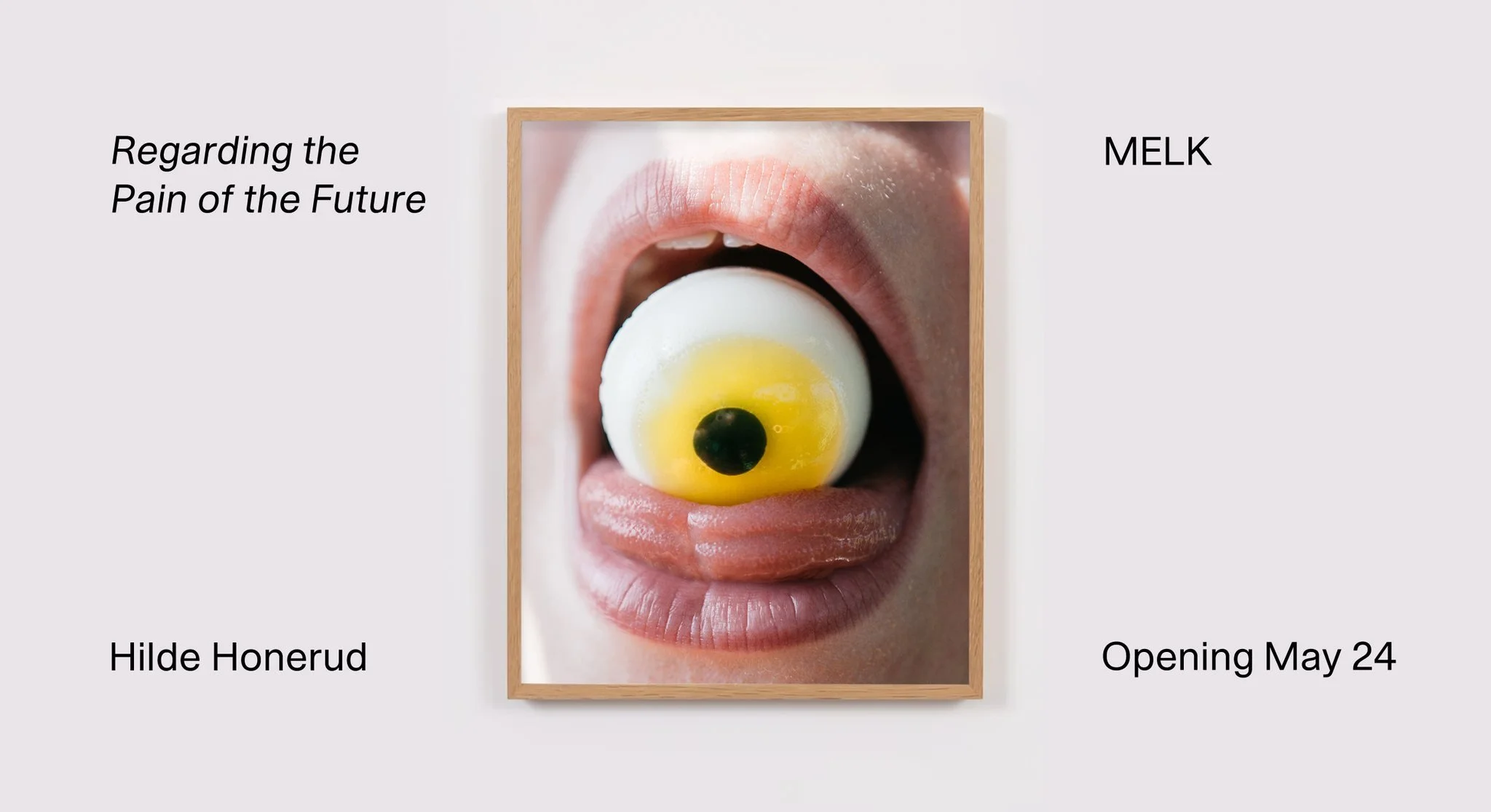 Regarding the Pain of the Future / Hilde Honerud