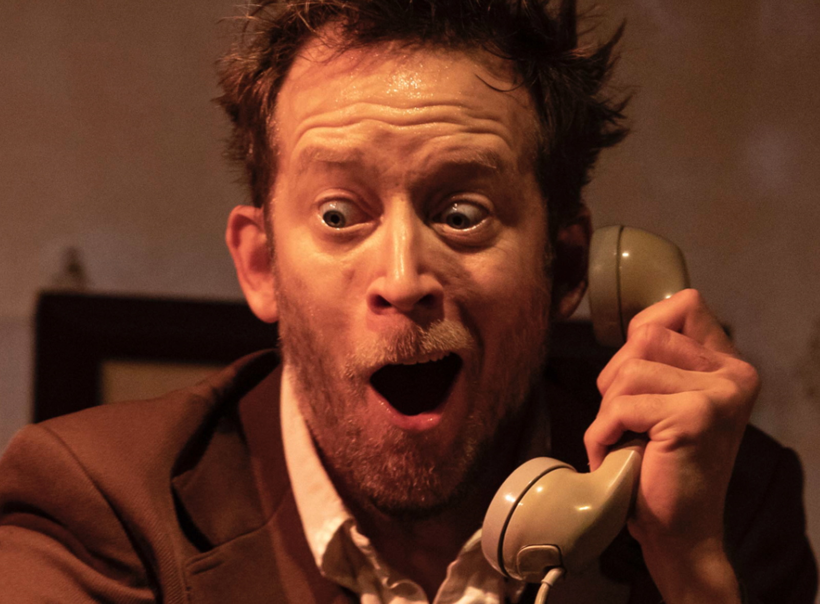 Den nye vikaren