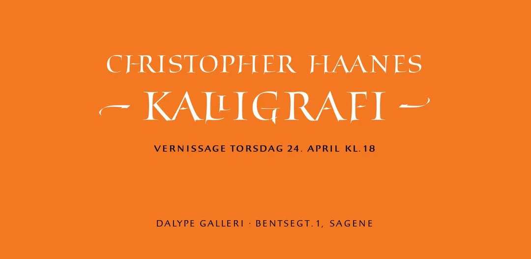 Utstillingsåpning: Christopher Haanes // Dalype Galleri