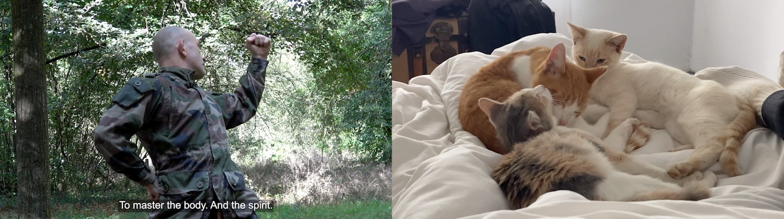 Malthe Møhr  /  Sja Mægre