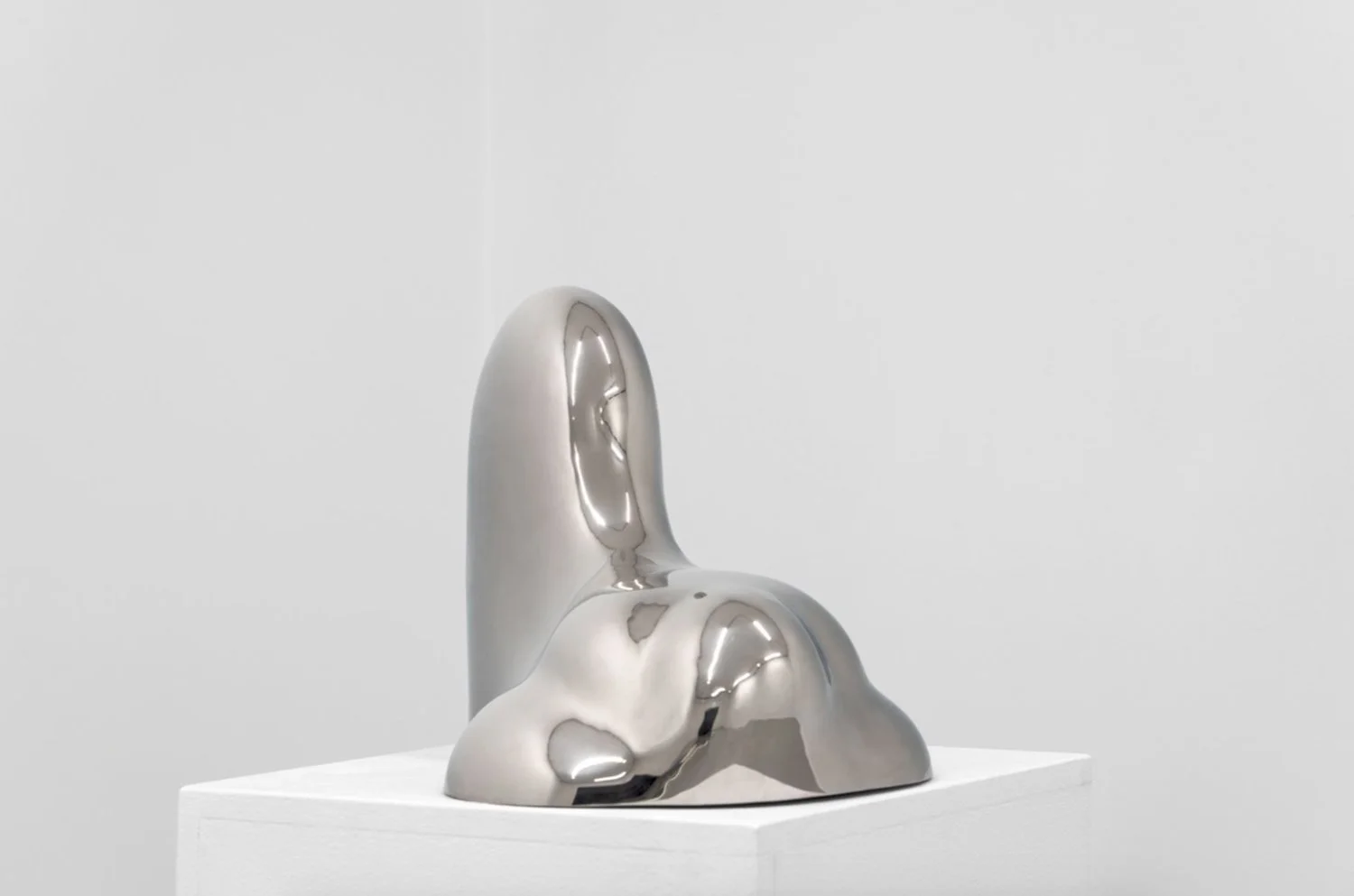 Bård Breivik - Svein Johansen