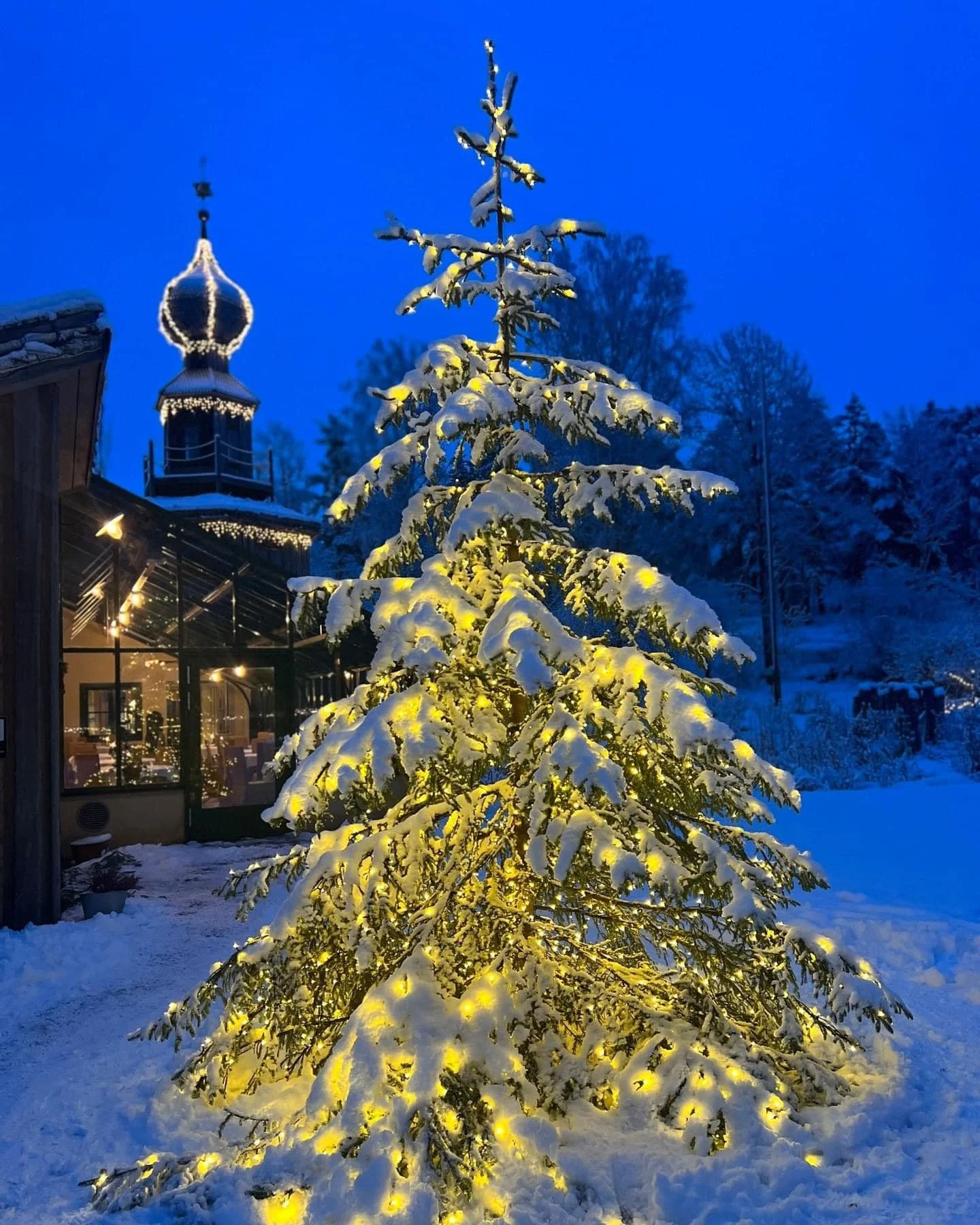 Det norske jentekor 467319529_1127932065602441_2531098059439363655_n.jpg