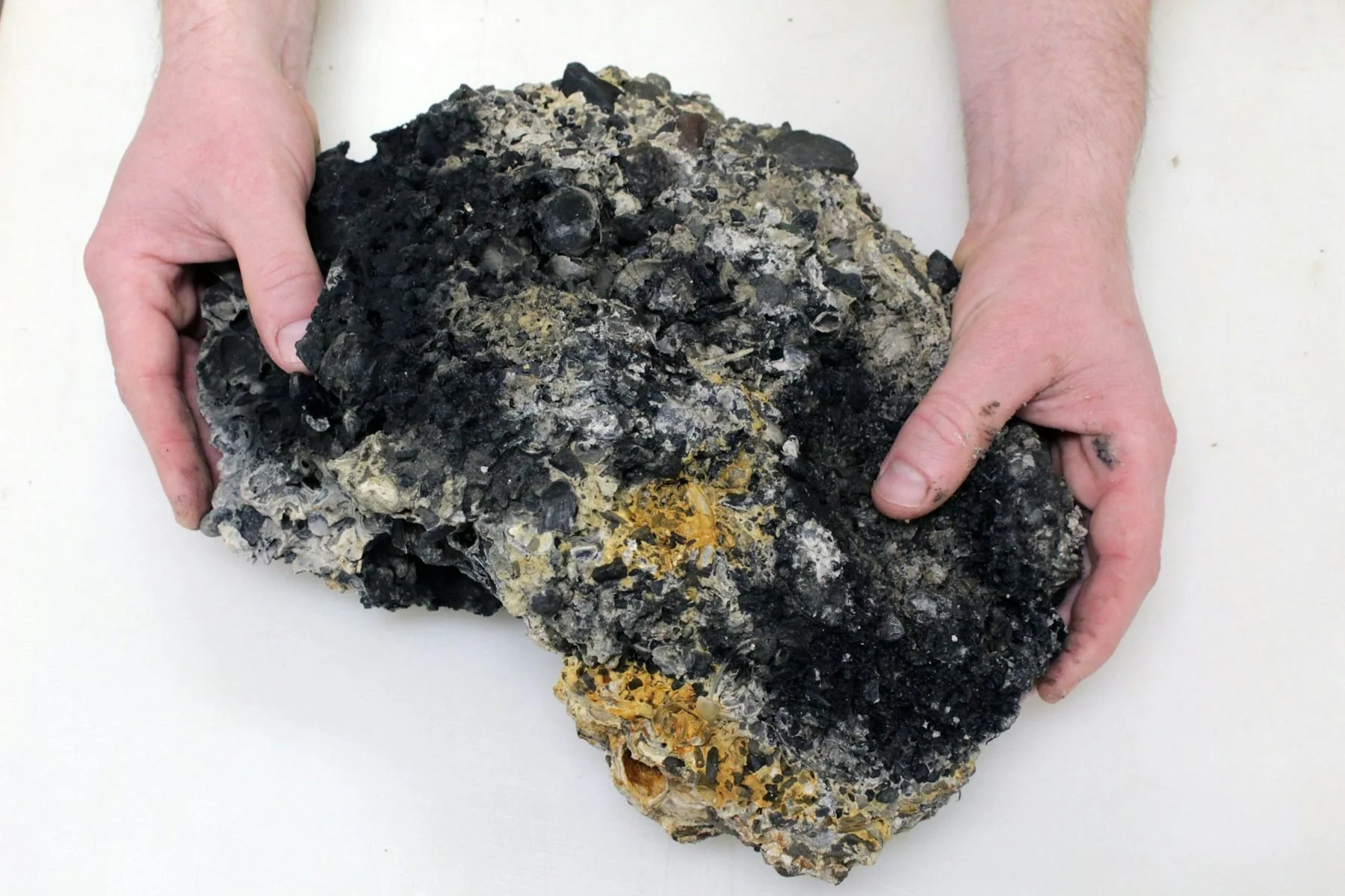 Þorgerður Ólafsdóttirs   -  Future Remains