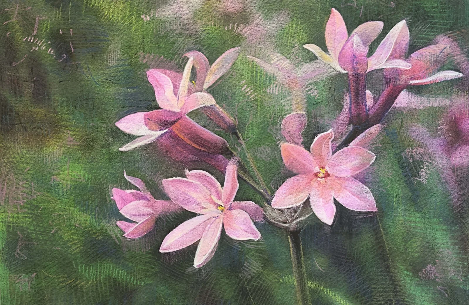 DUFTENDE BEDRAG  -  MESEN X GALLERYLAB