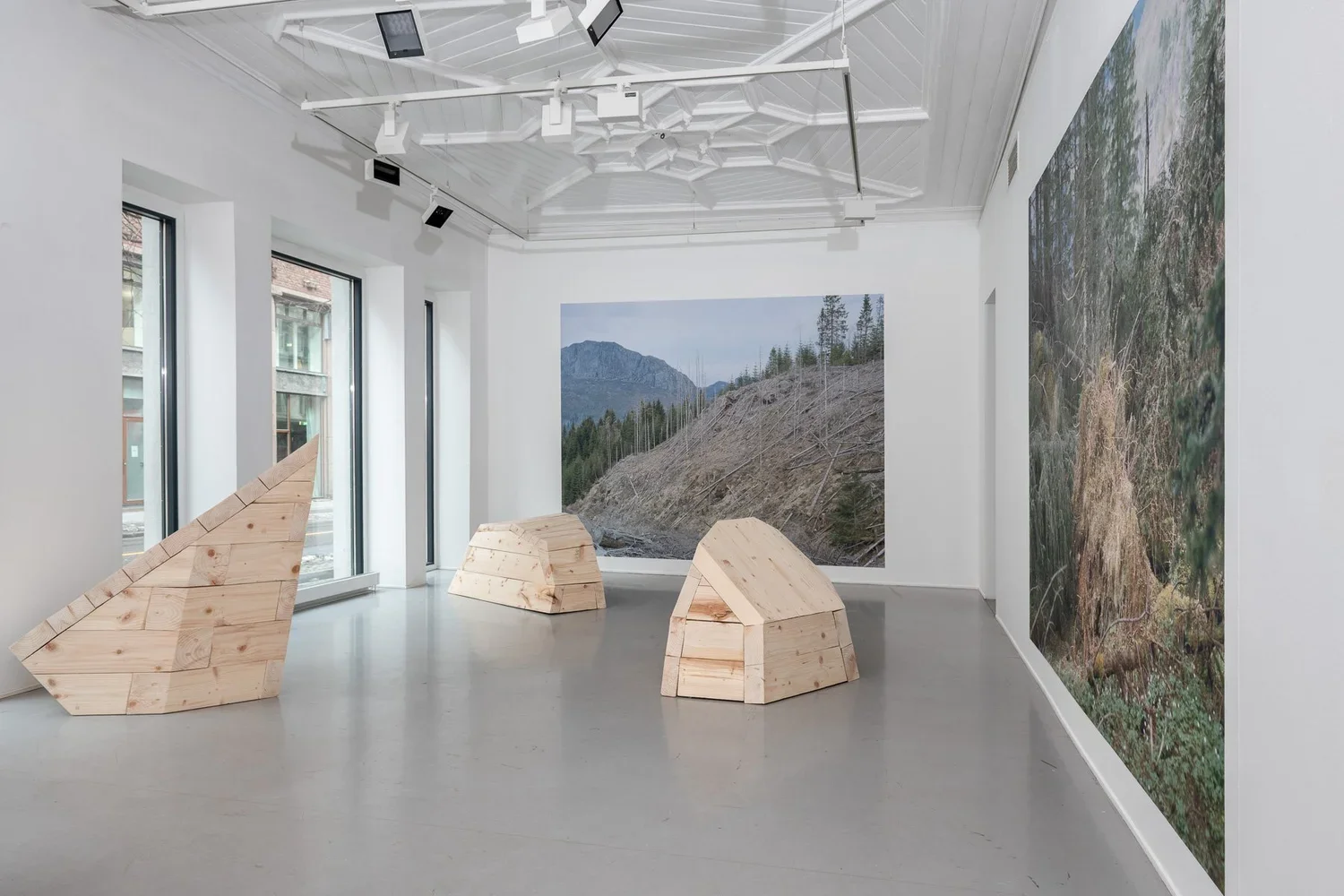 LINE ANDA DALMAR  -  Losing Landscape