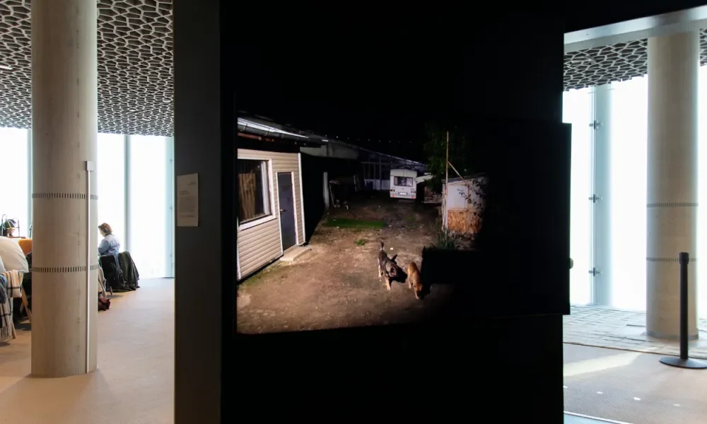 web-sverre OKK-4-1_d3867277feb154defec9b24a5714fadb (1).webp