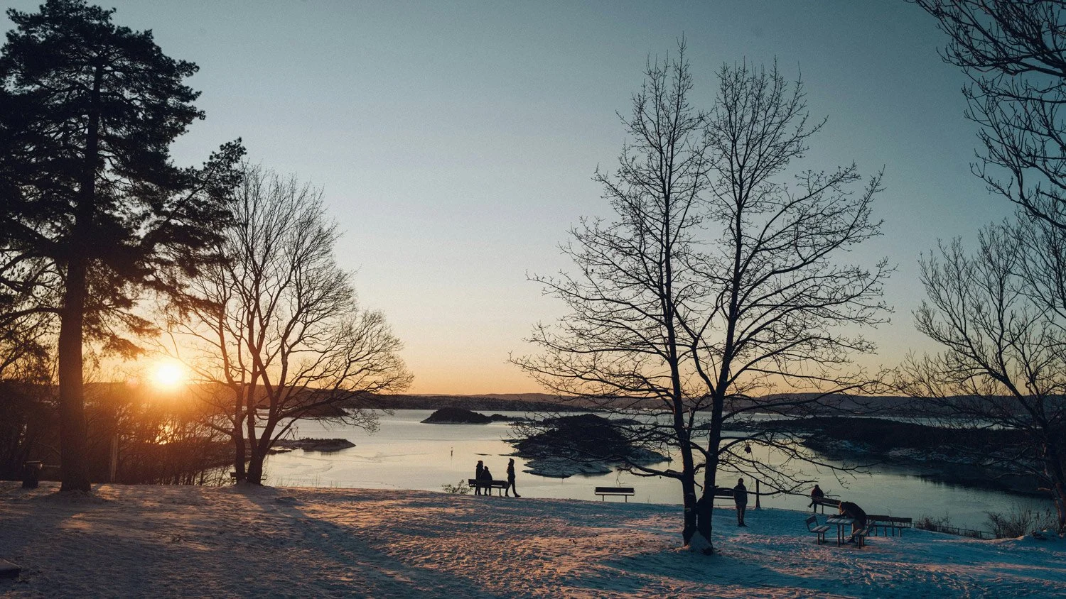 Oslo-web-Ekebergparken-gPQk-_NM-unsplash.jpg