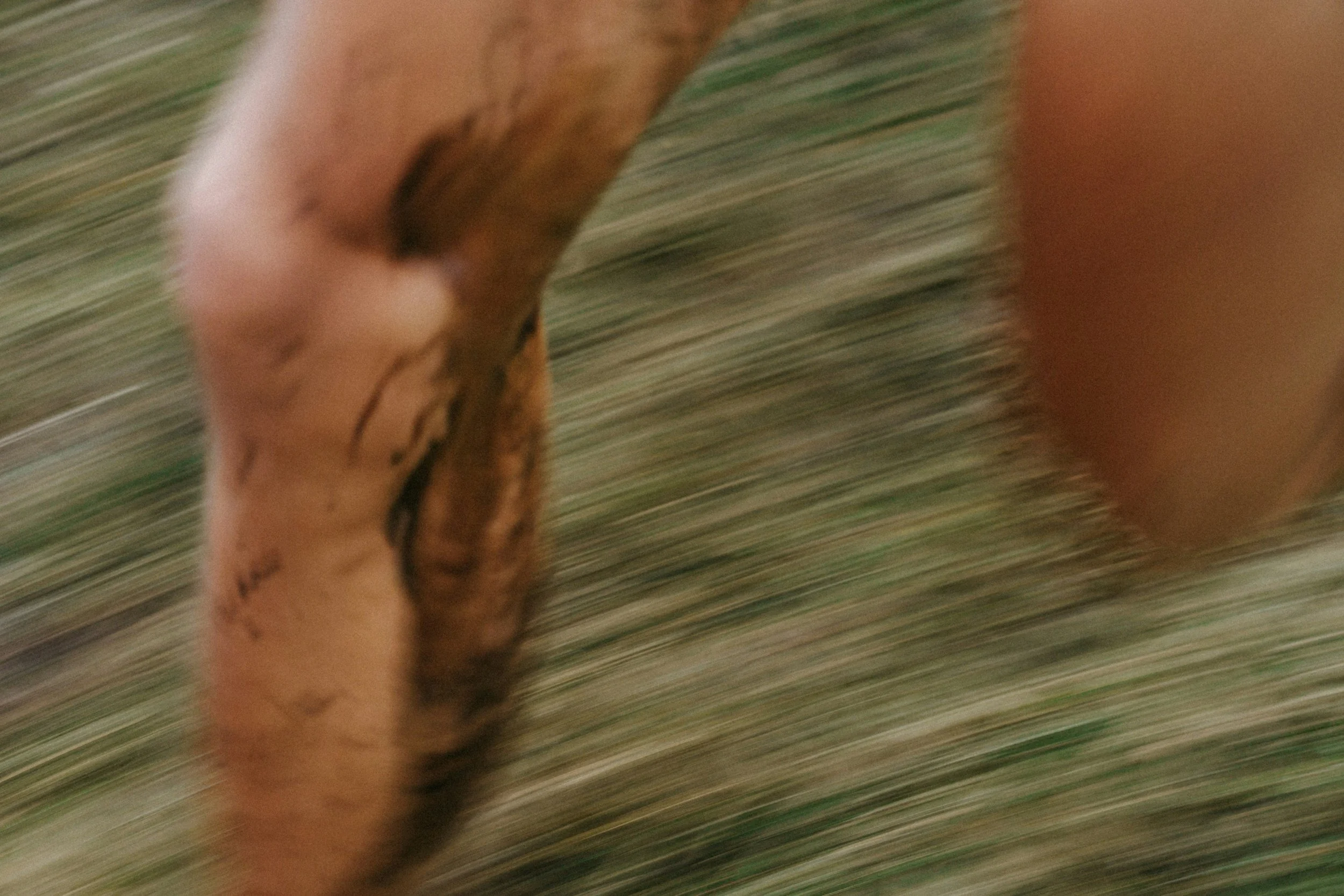 unsplash-image-wjEGhJy1LAo.jpg