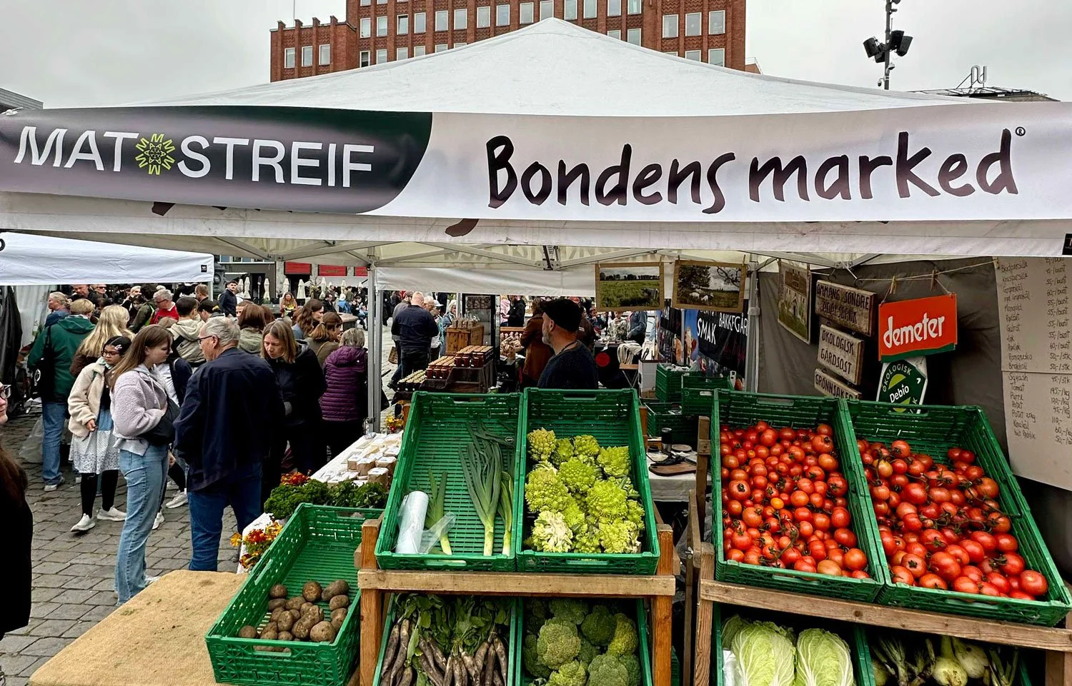 matstreif-web-Matstreif2024-005-w.jpg