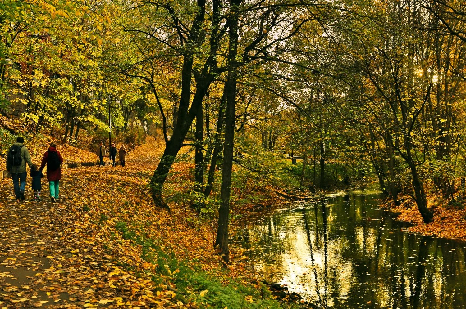 Oslo-web-Akerselva-host-autumn-fall-l.-12.43.51.jpg