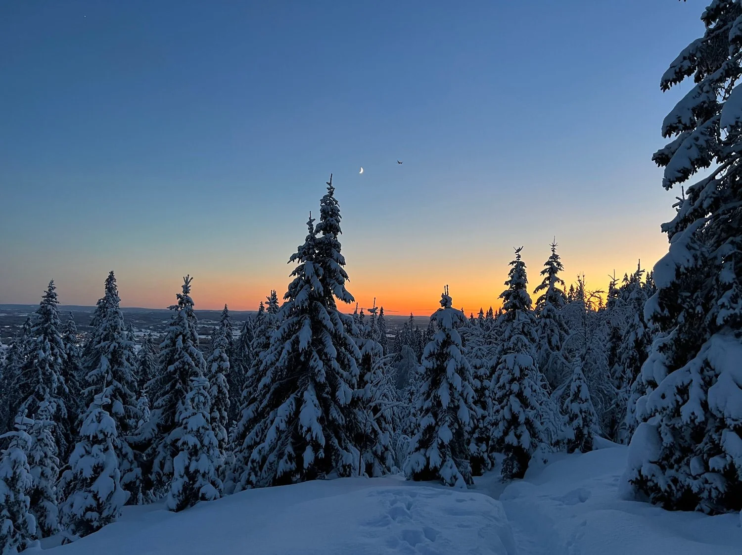 Oslo-web-Nordmarka-vinter-winter-snow-2-kl.-21.23.54.jpg