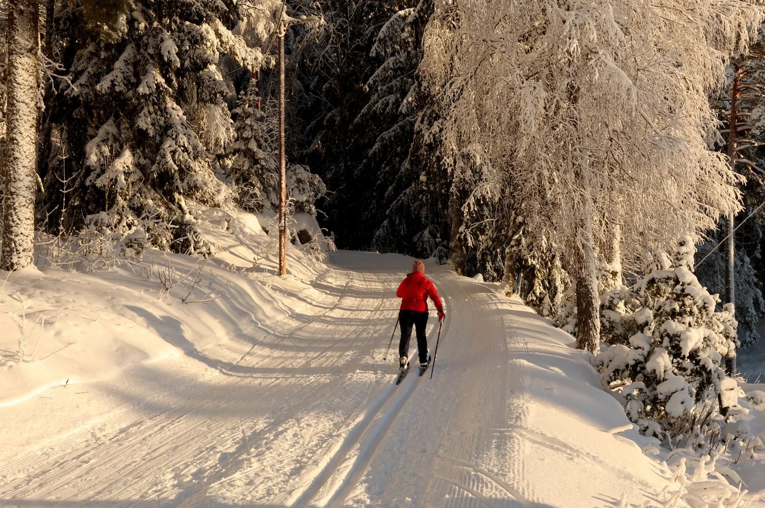 Oslo-web-Oslo-vinter-Nordmarka-Ski-langrenn-11-kl.-11.24.50.jpg
