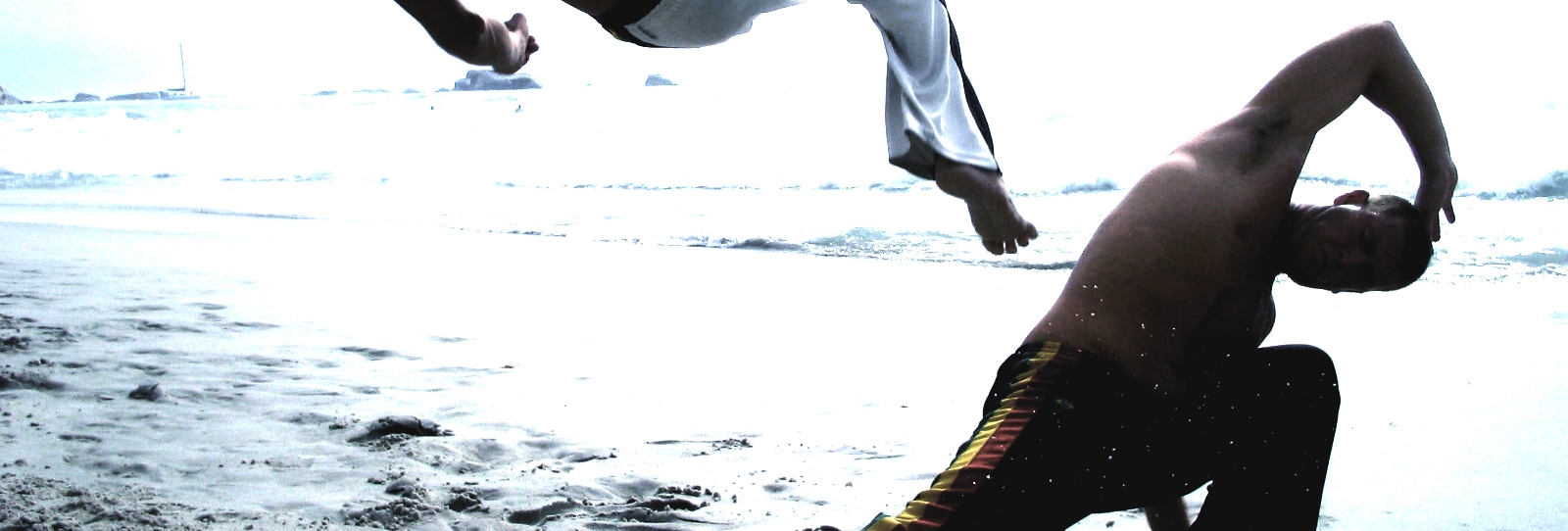 Capoeira Cropped.jpg