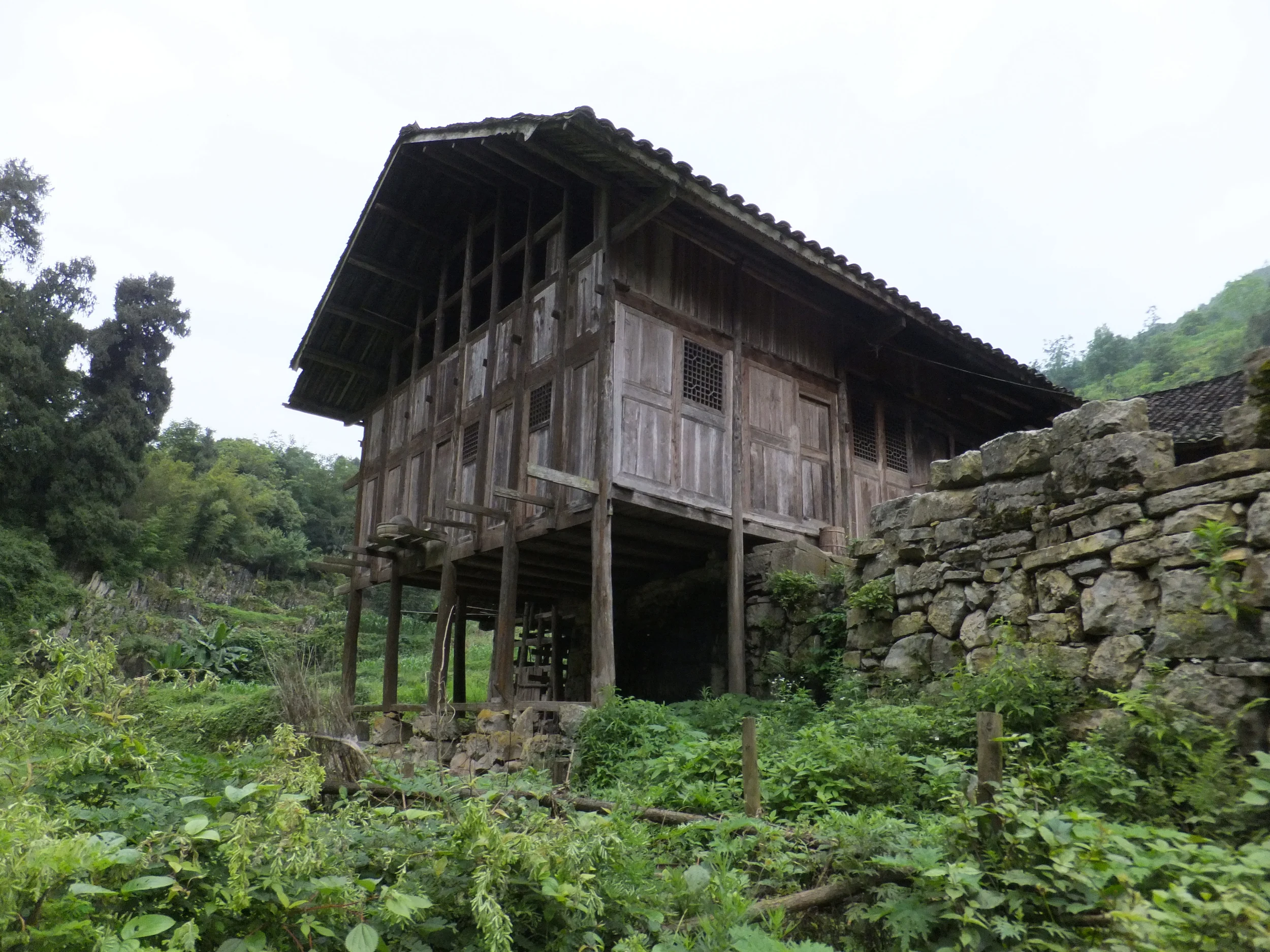 DSCF4895.JPG