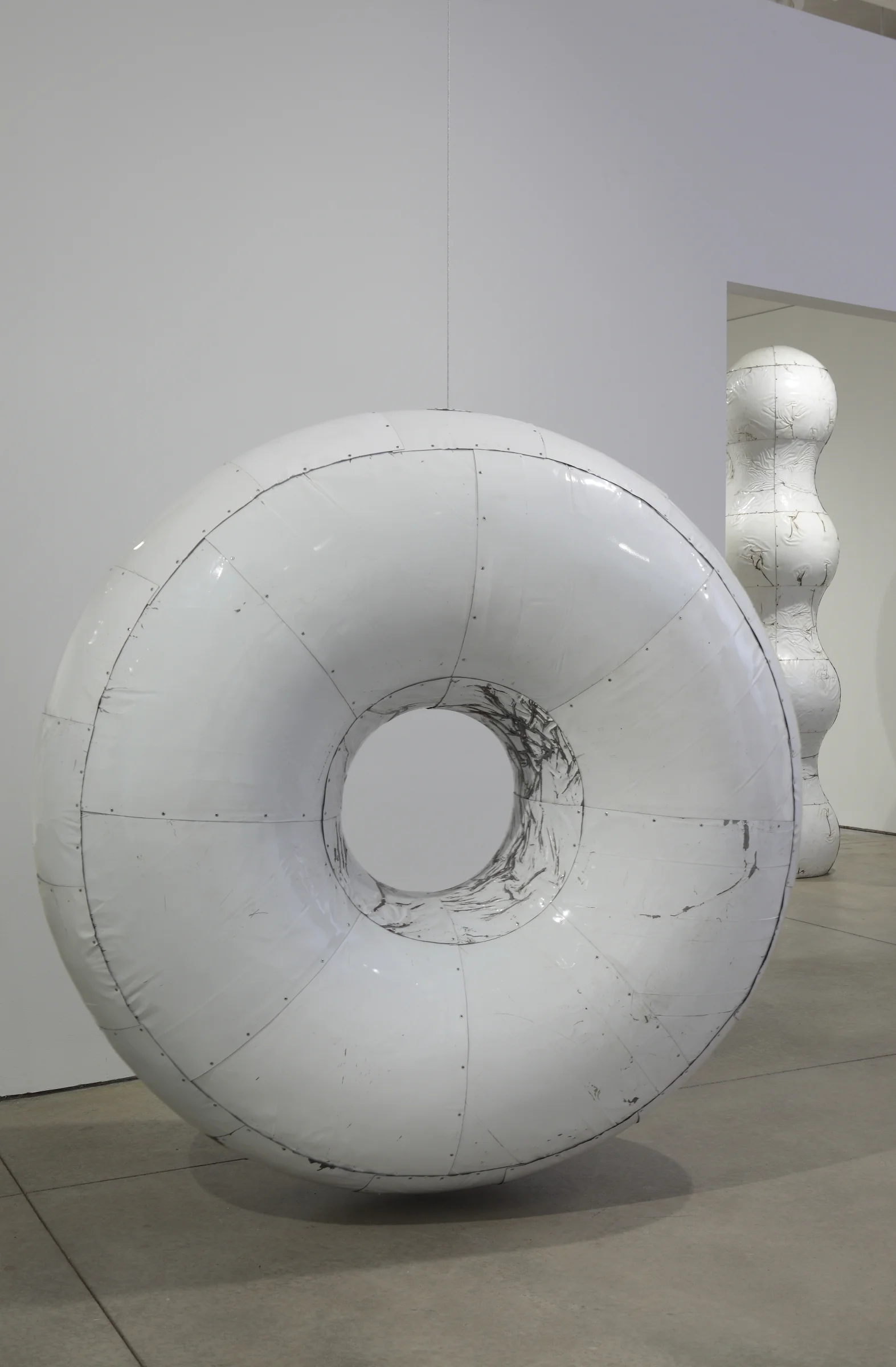 White Torus