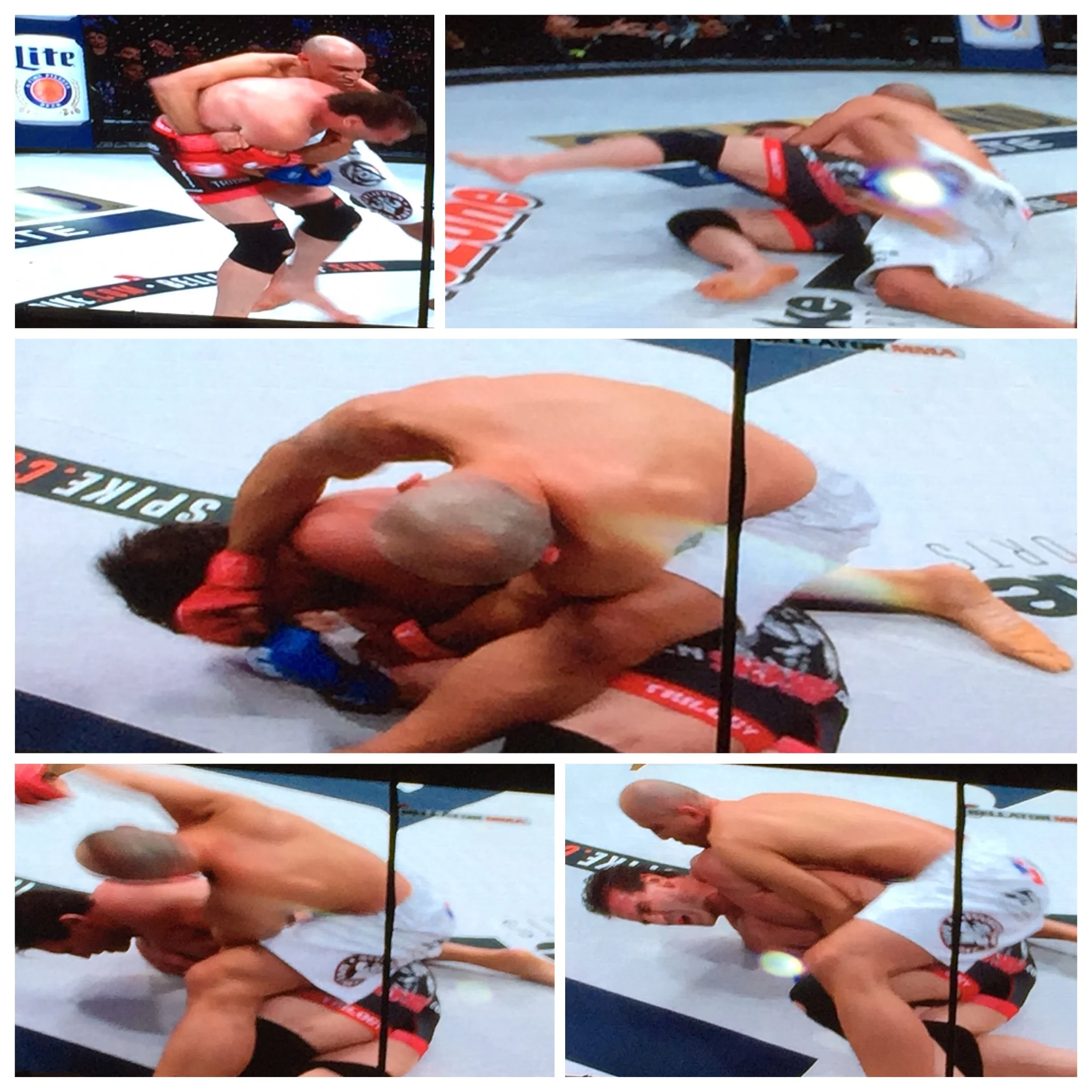 Royce takes down, mounts and TKOs Ken