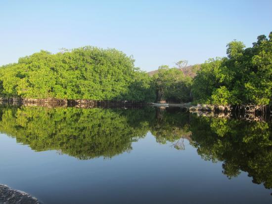 Bird Sanctuary Tour