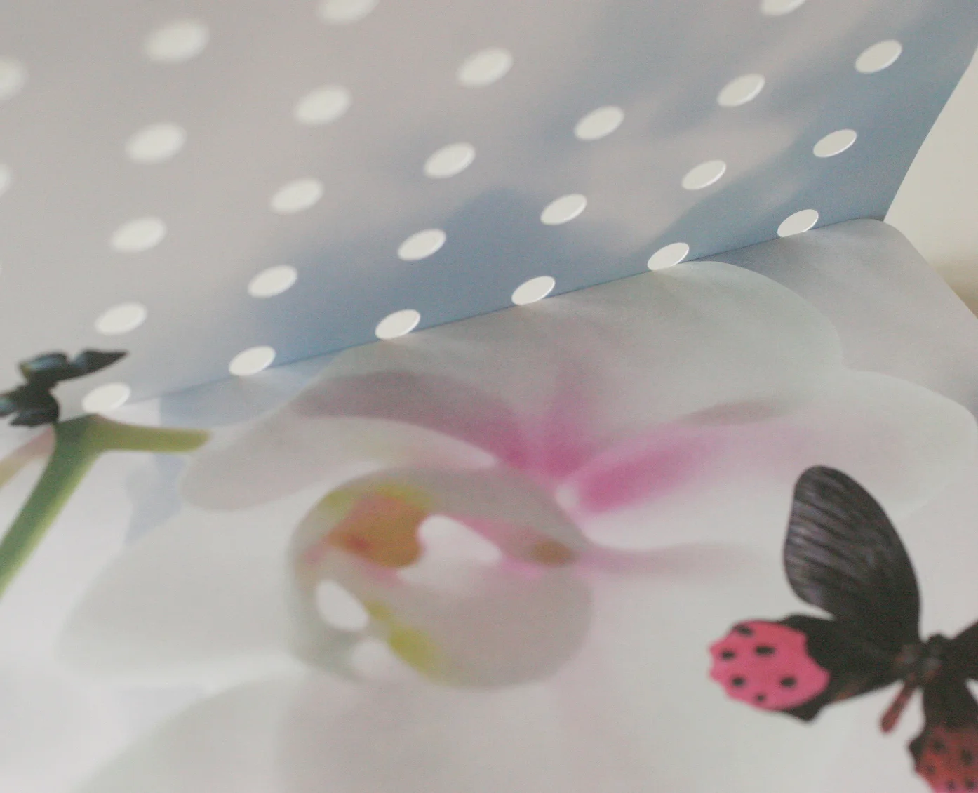 ButterflyDots_DieCut2.jpg