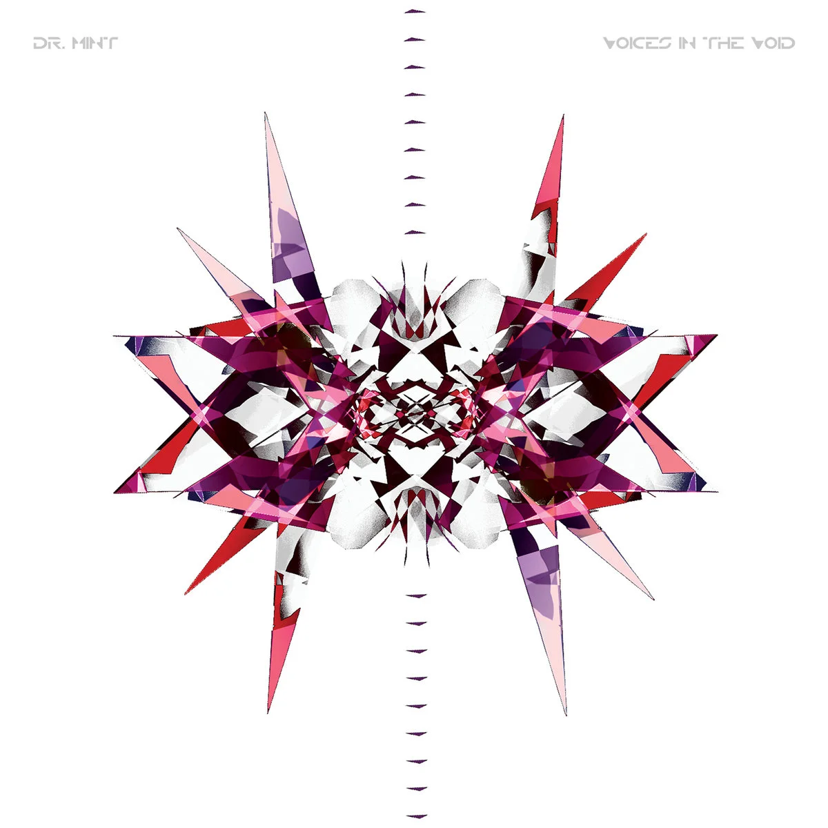 DR. MiNT | Voices In The Void (VINYL)