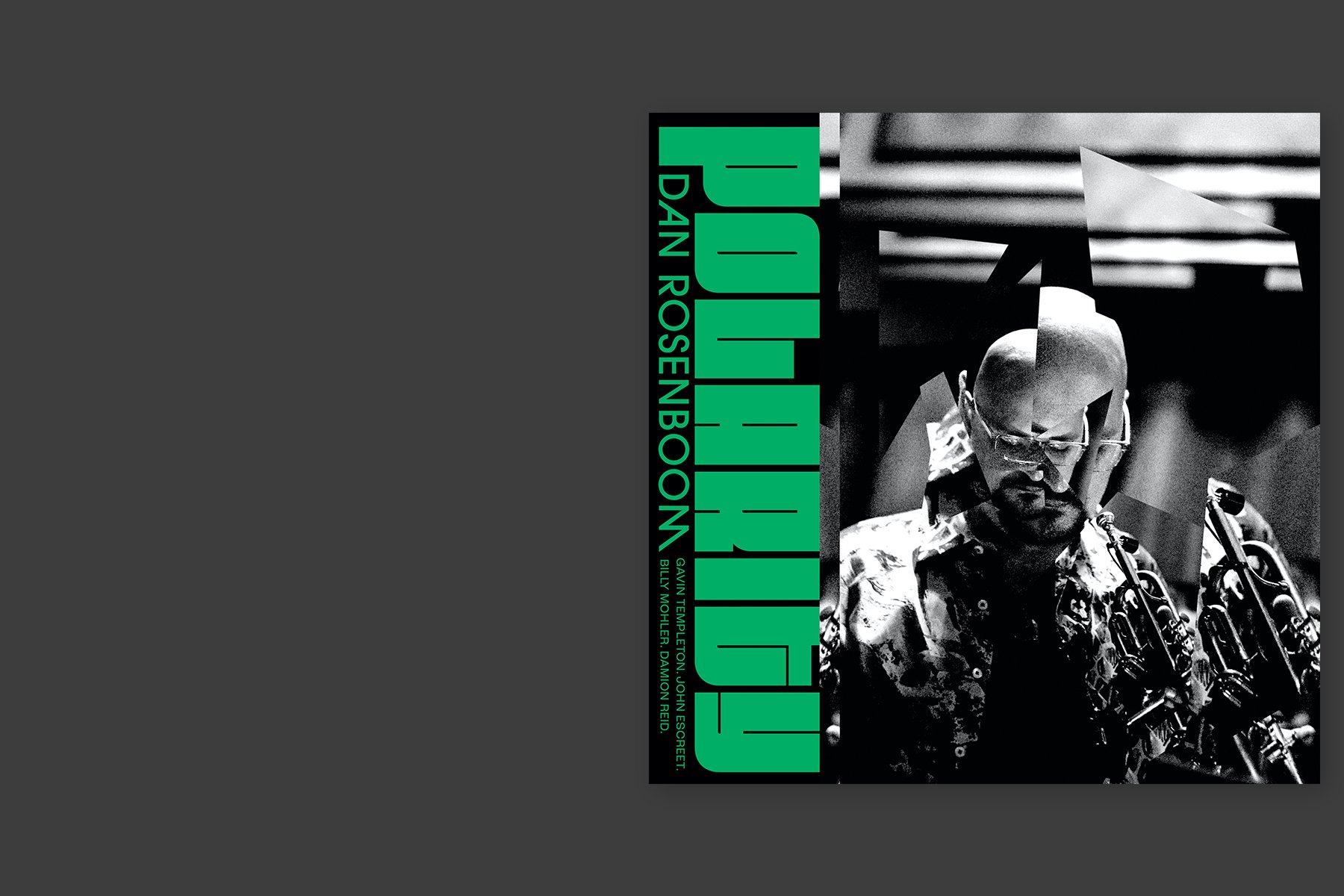 Polarity Landing Page 2.jpg