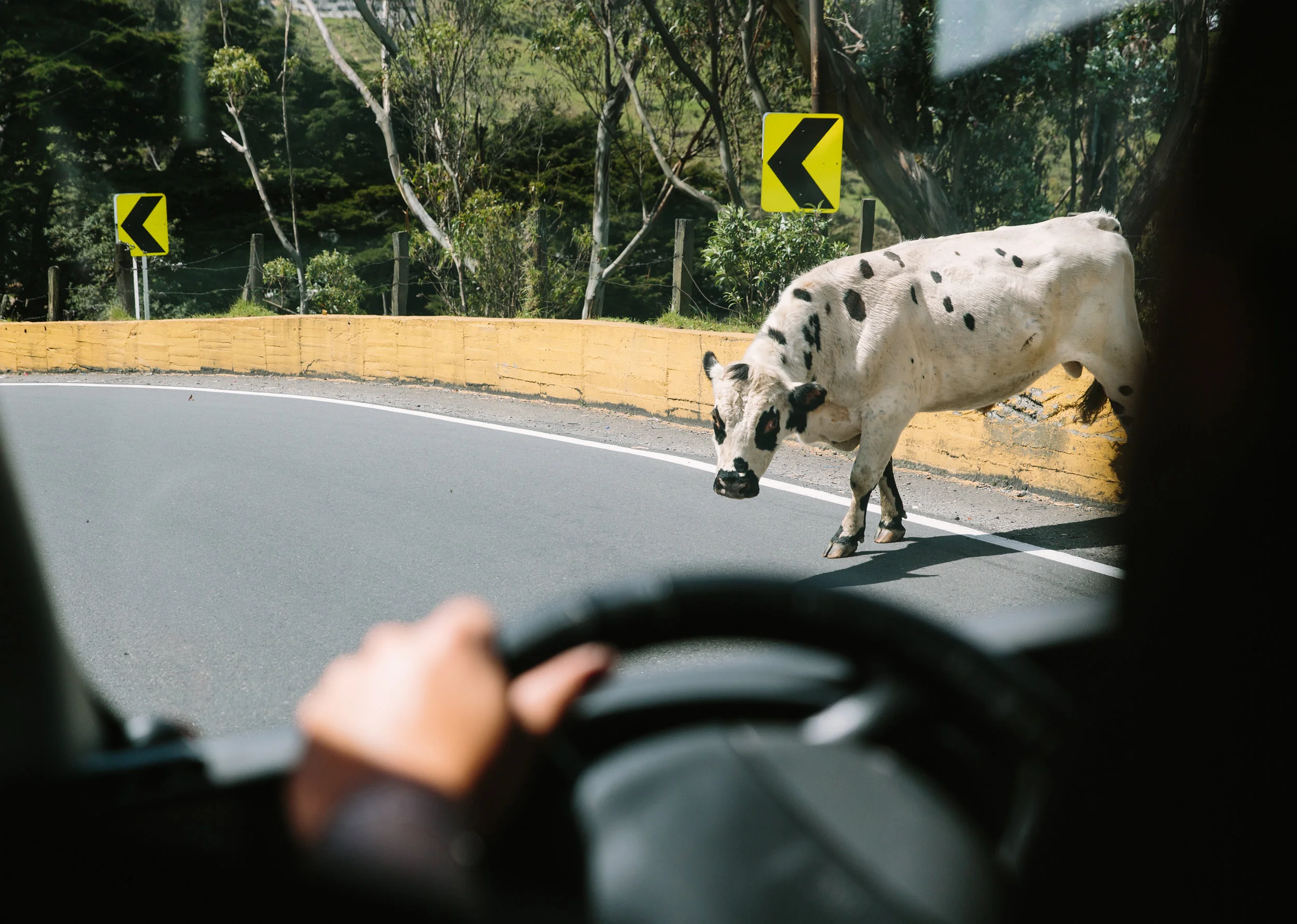 Colombia-34.jpg