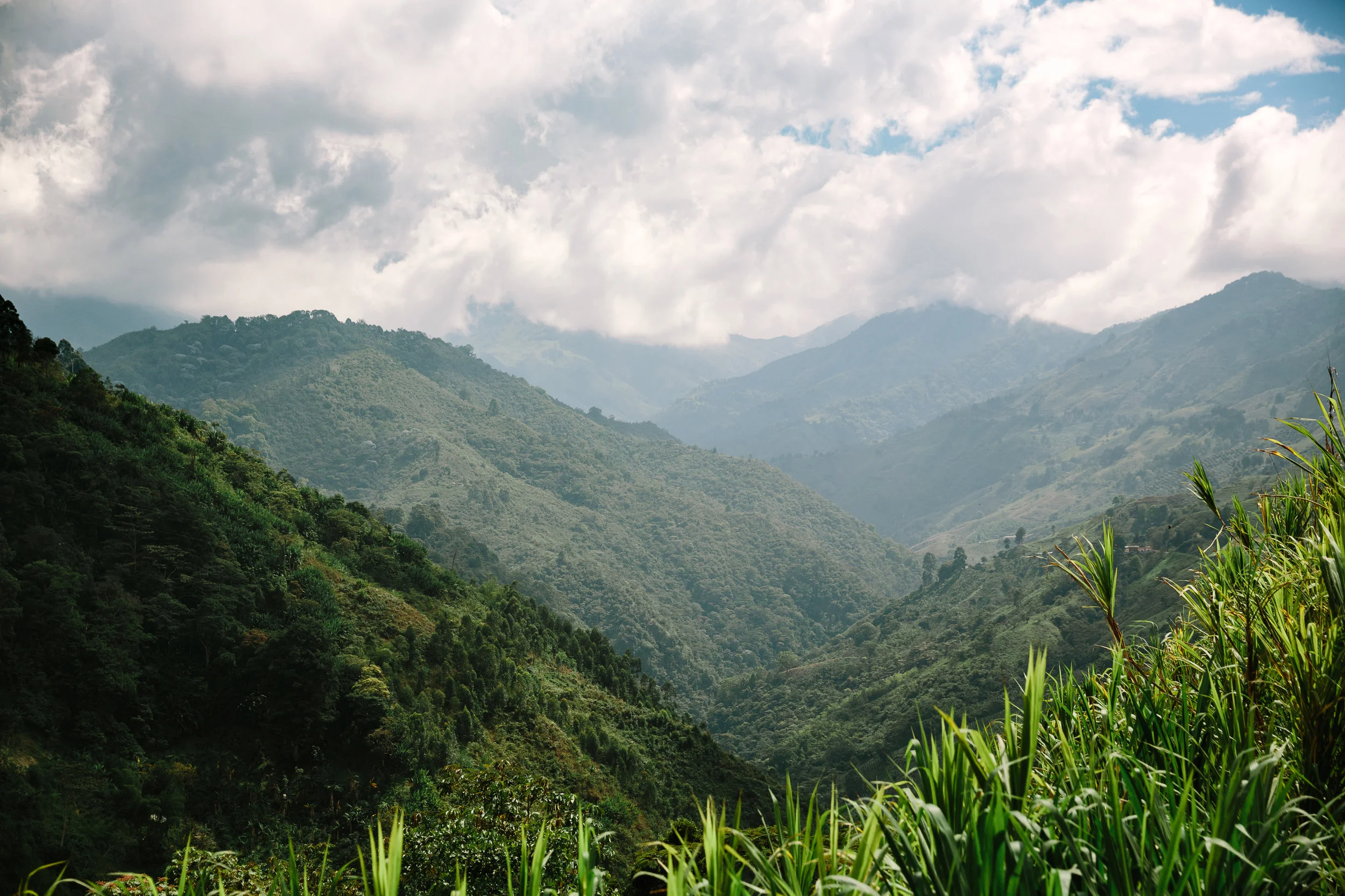Driving through the Andes to Salento