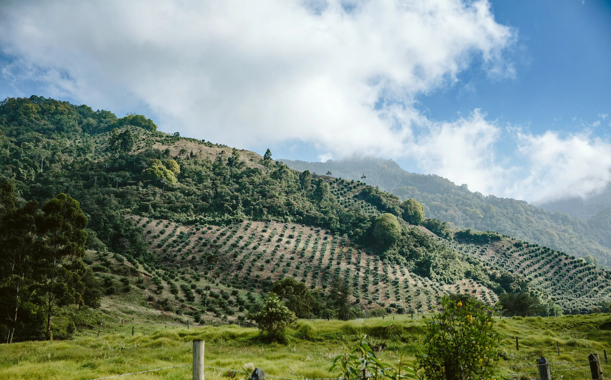 Colombia-120.jpg