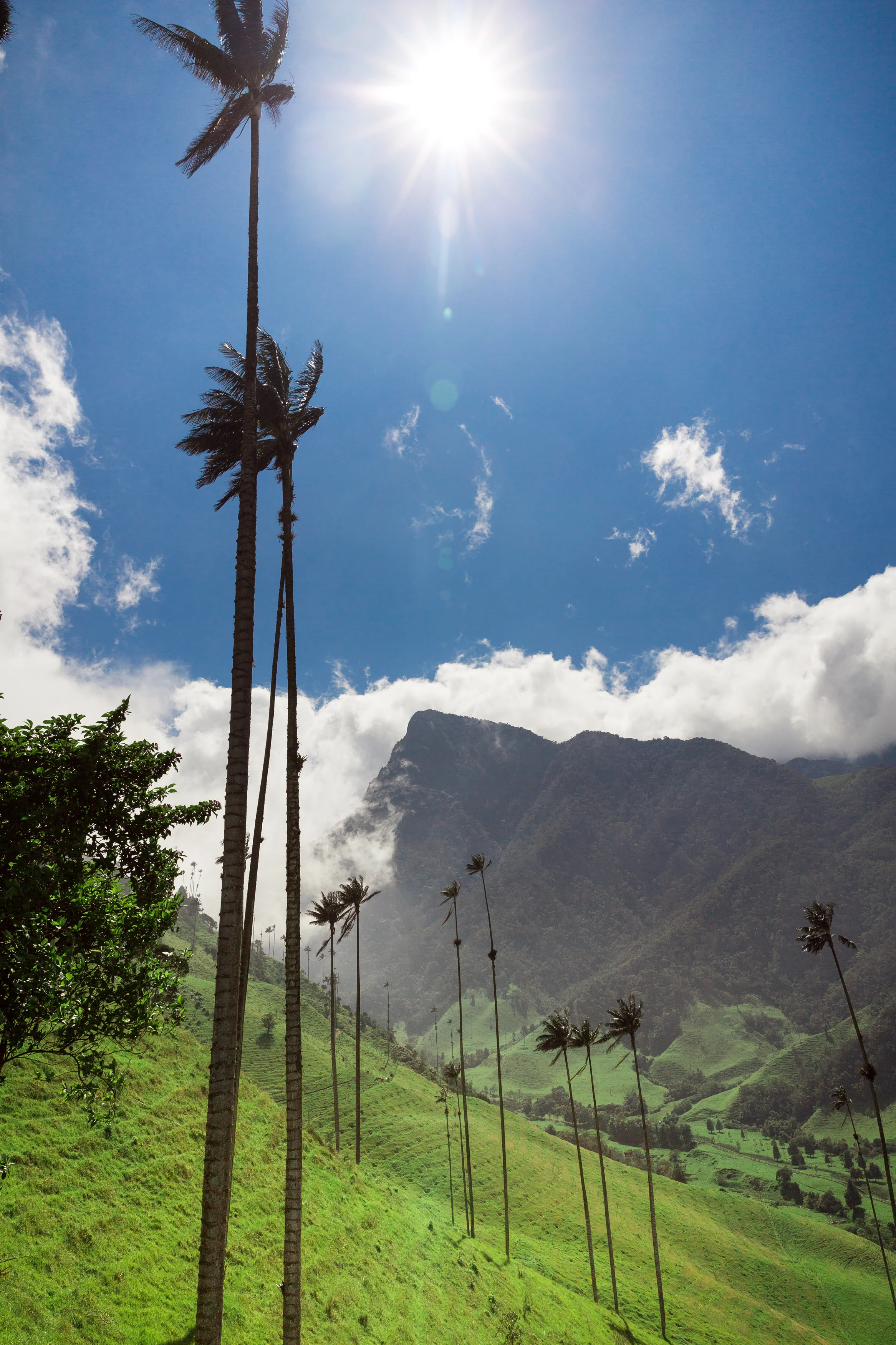 Colombia-138.jpg