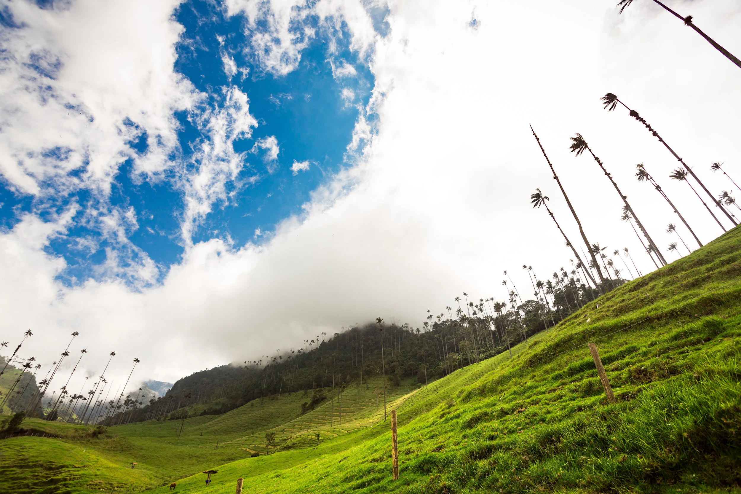 Colombia-157.jpg