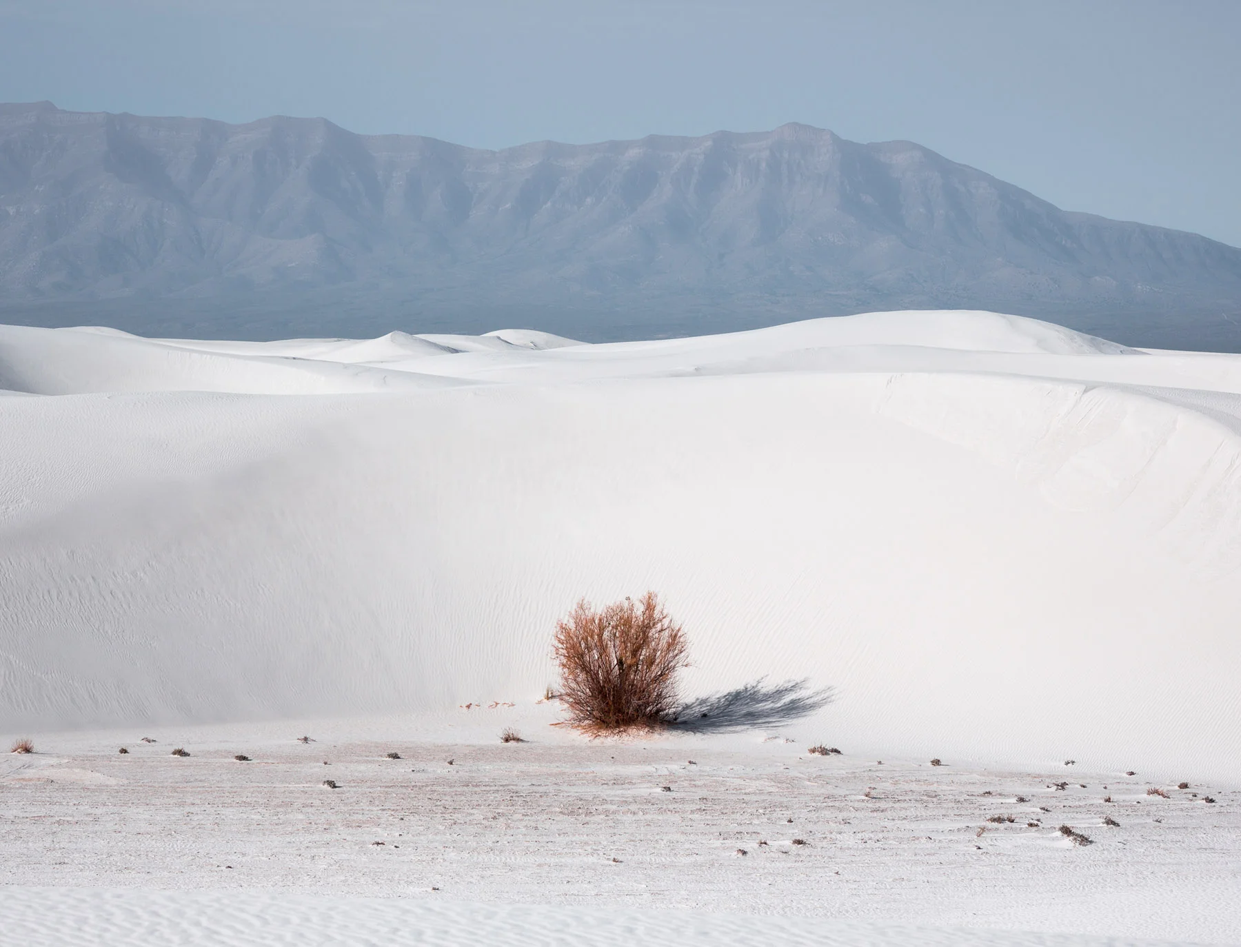 07-WhiteSands-46.jpg