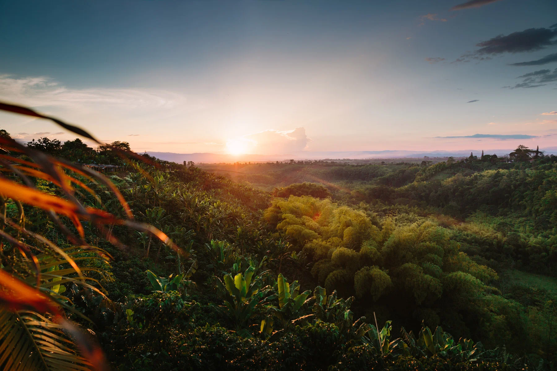 Colombia-101.jpg