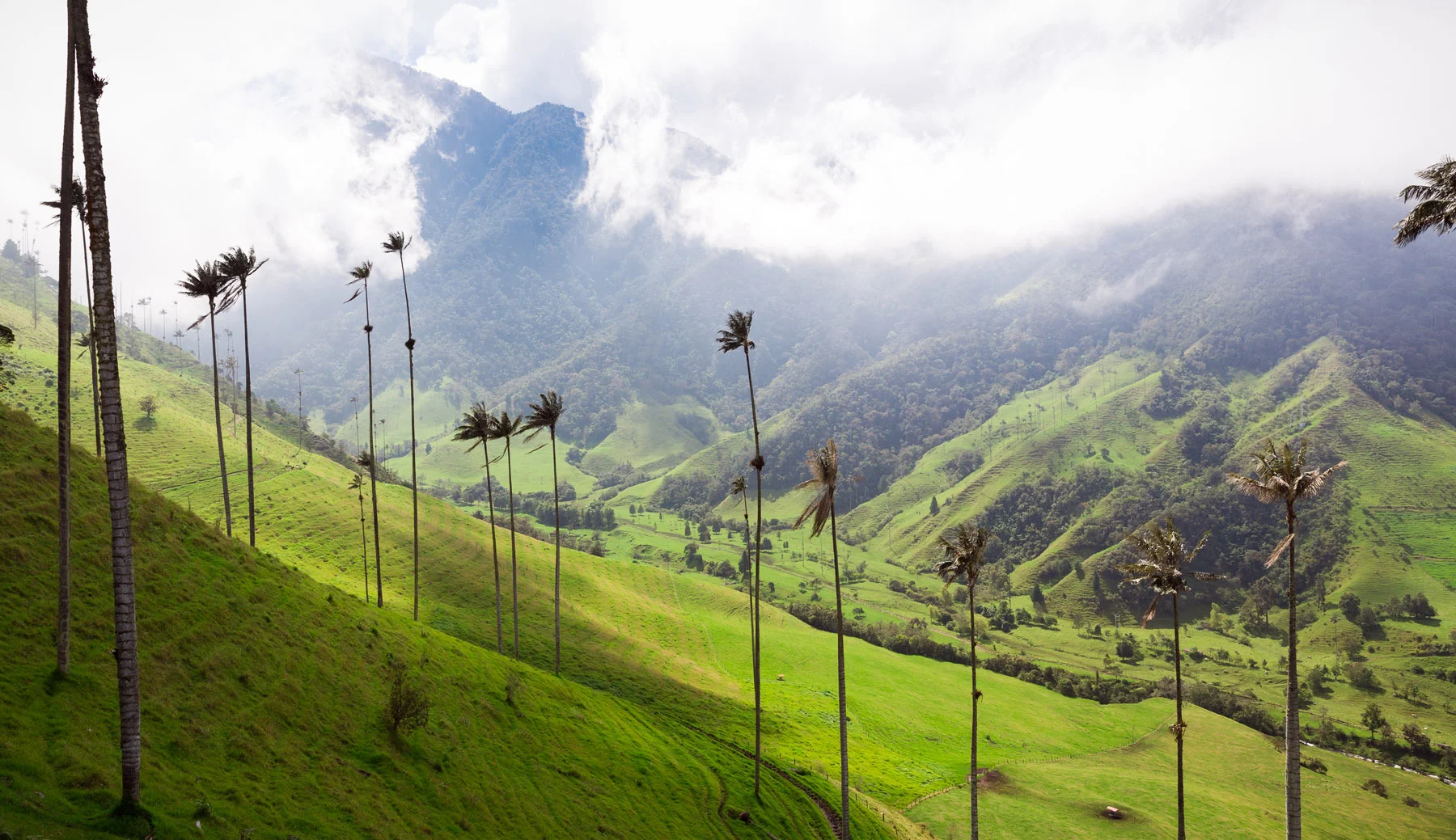 Colombia-152.jpg