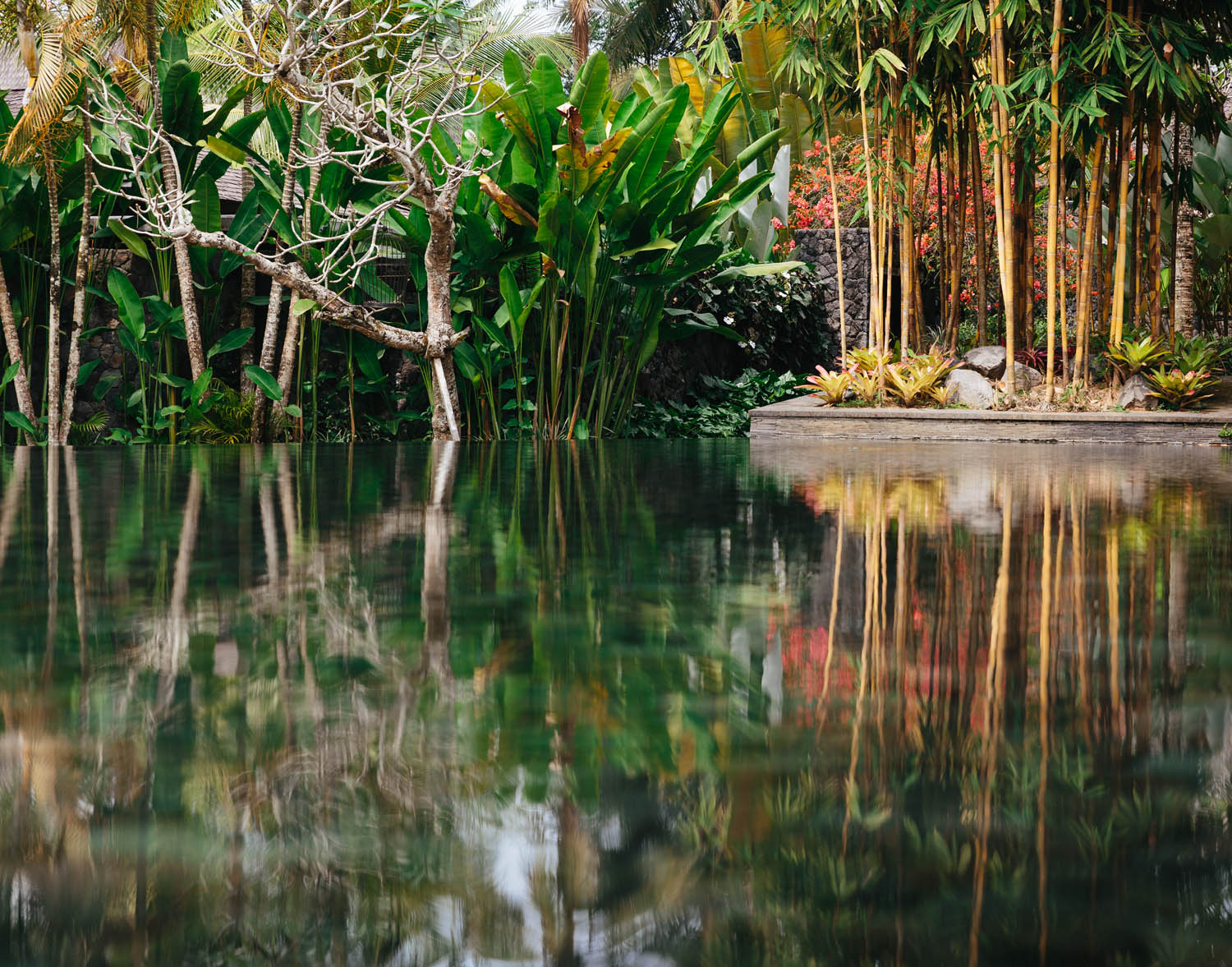 Jungle Fish resort north of Ubud