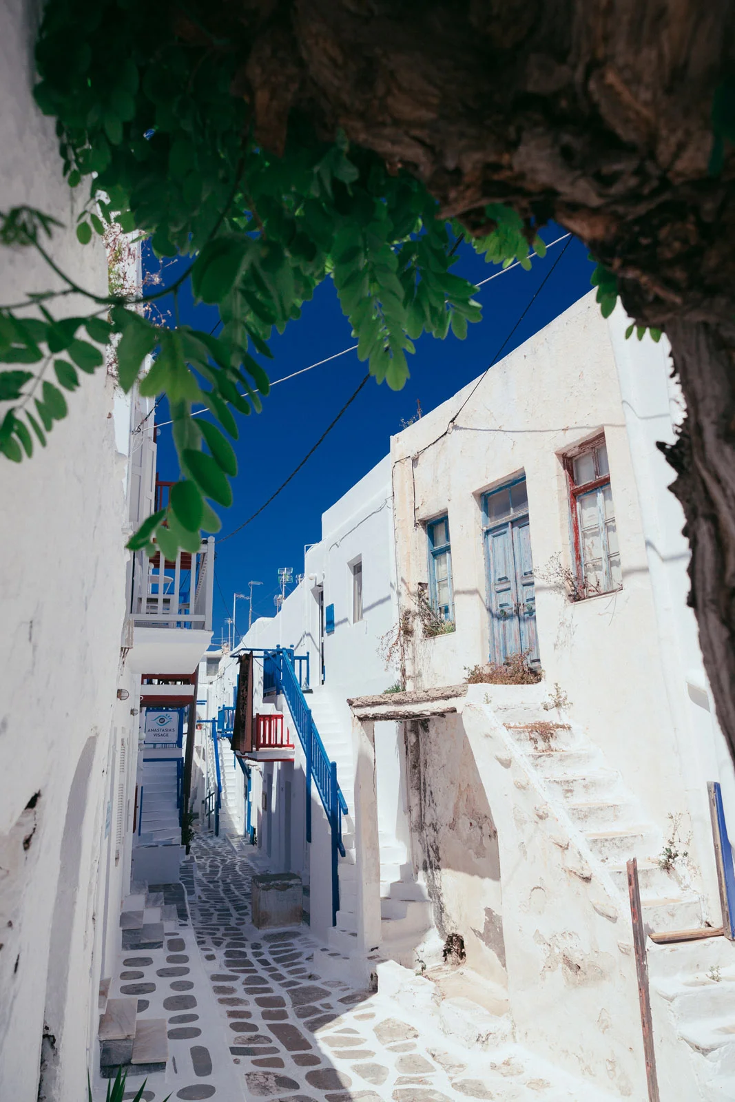 _K2A8516.jpg