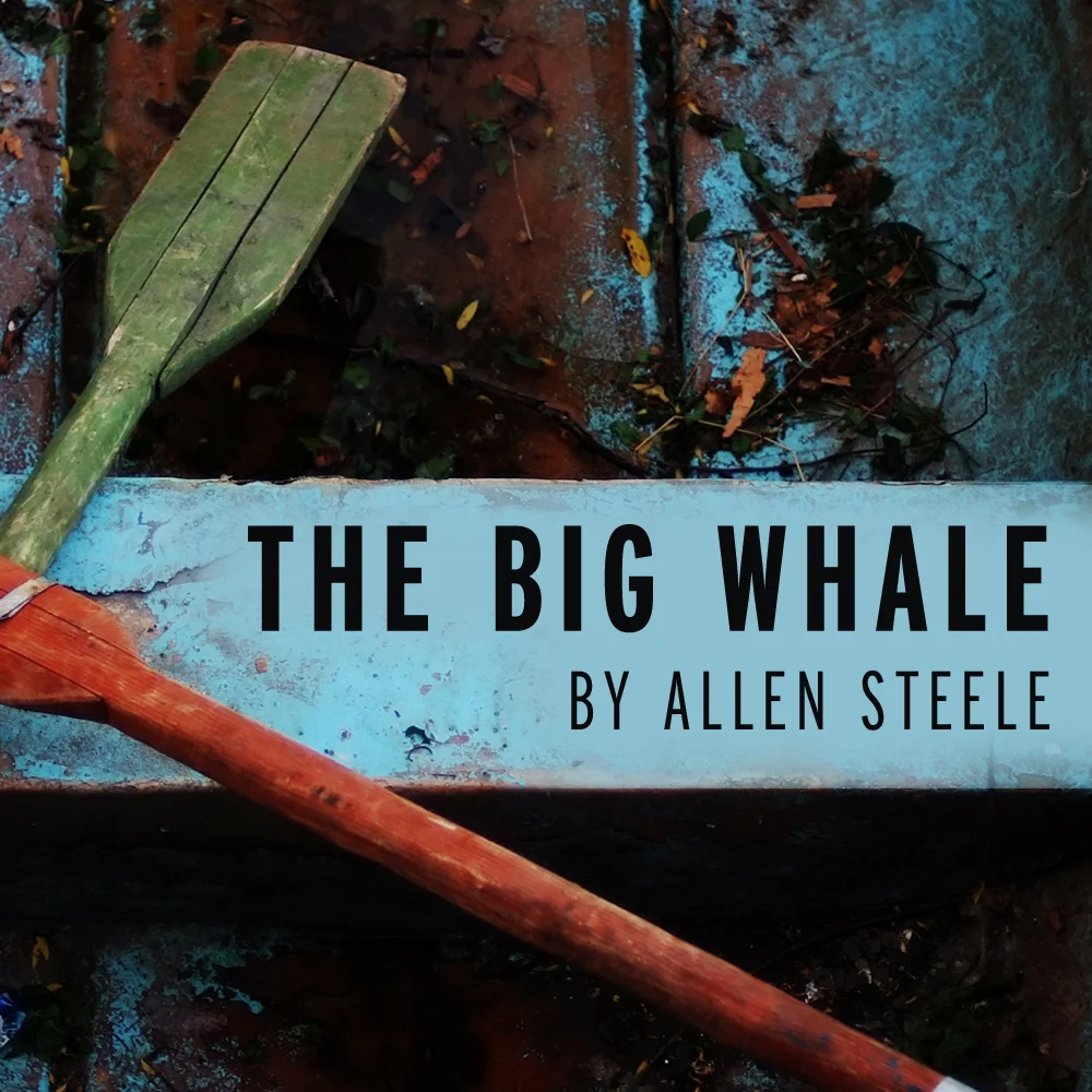 bigwhale_4.jpg