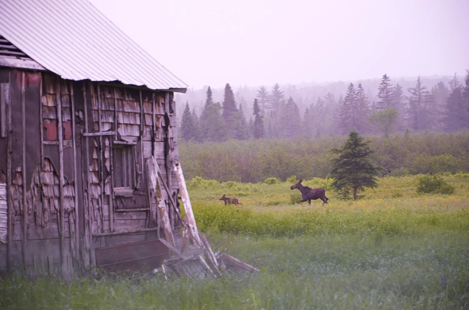_DSC2753-cover.jpg