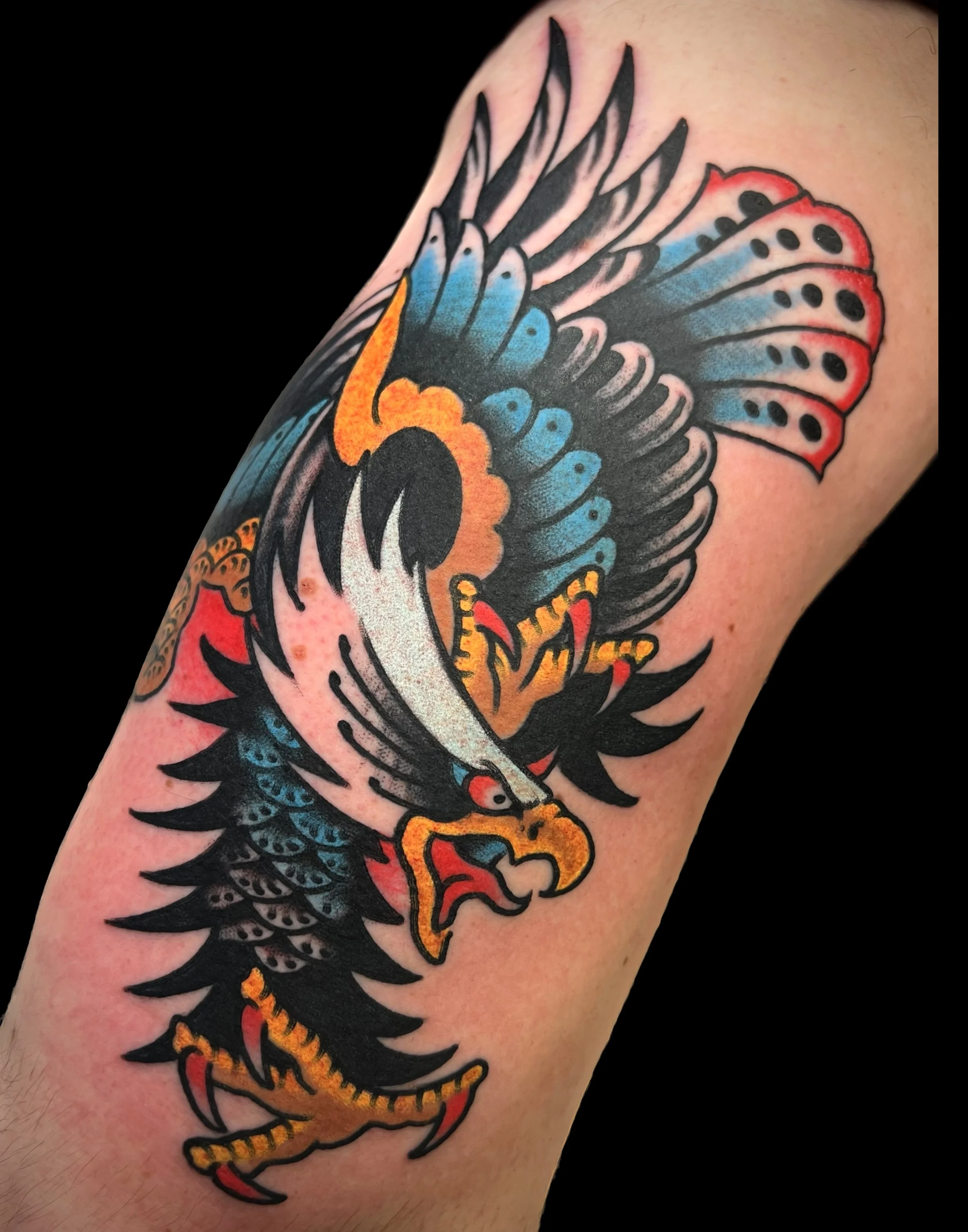 Eagle.jpg