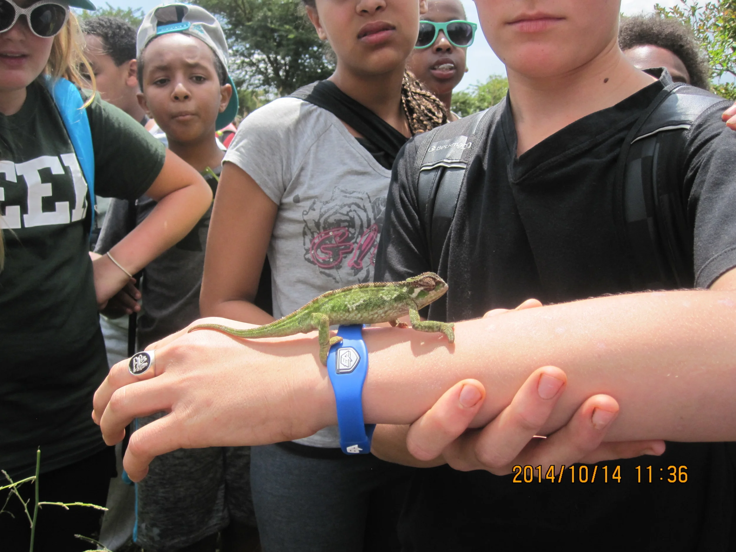 Grade 6 Activities Week trip