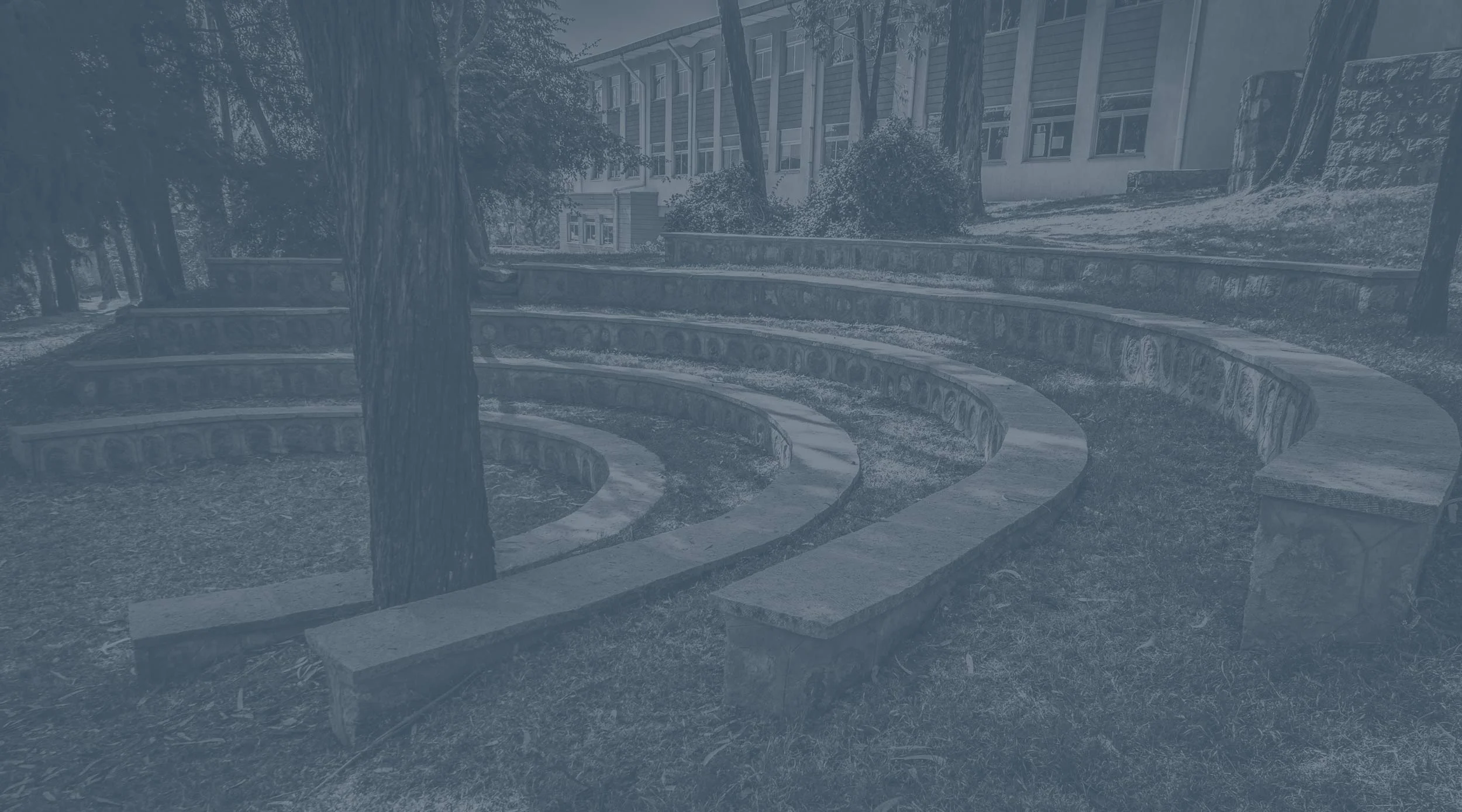 Home School — Bingham Academy