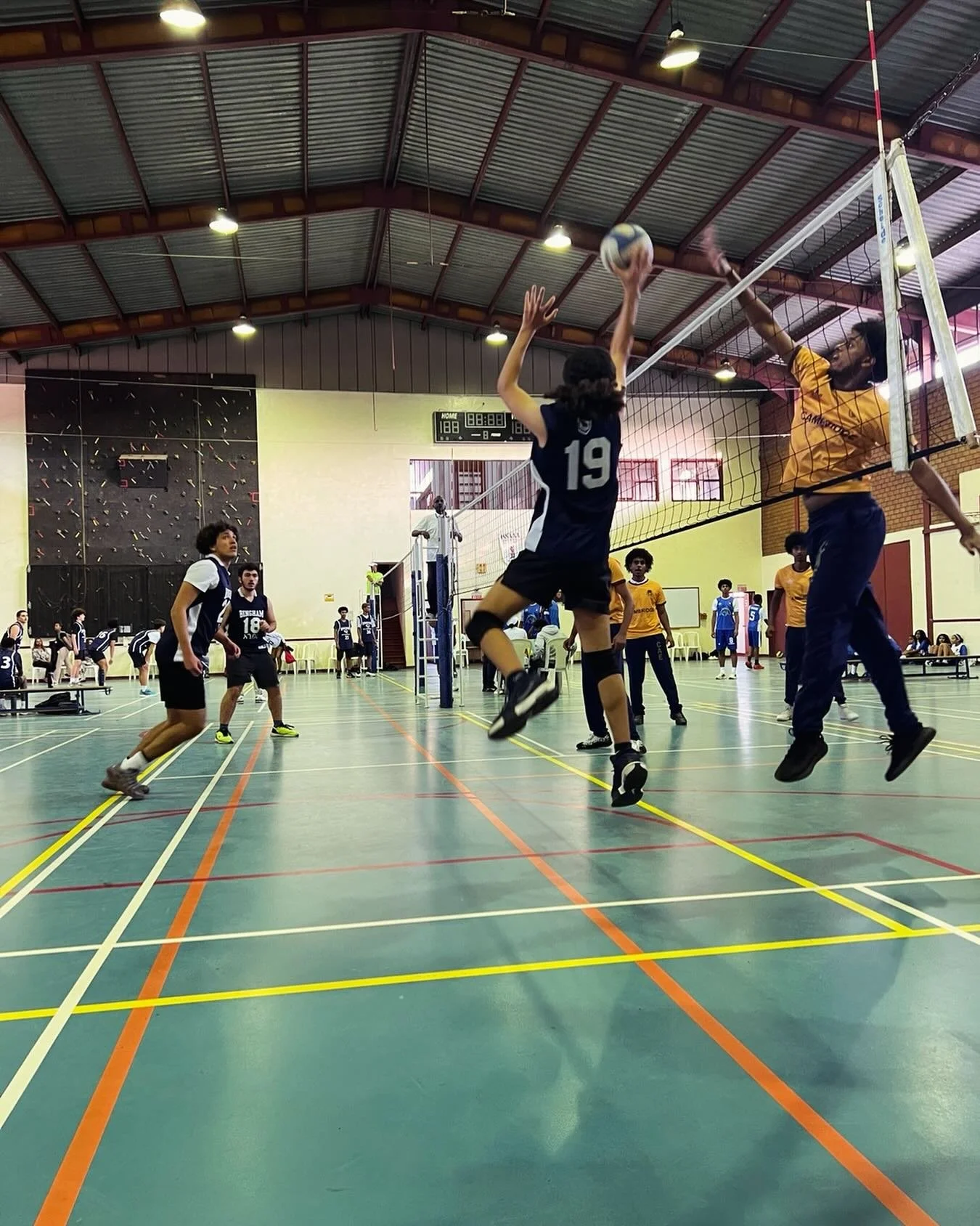 Volleyball is BACK!! Go 🦁 🦁
