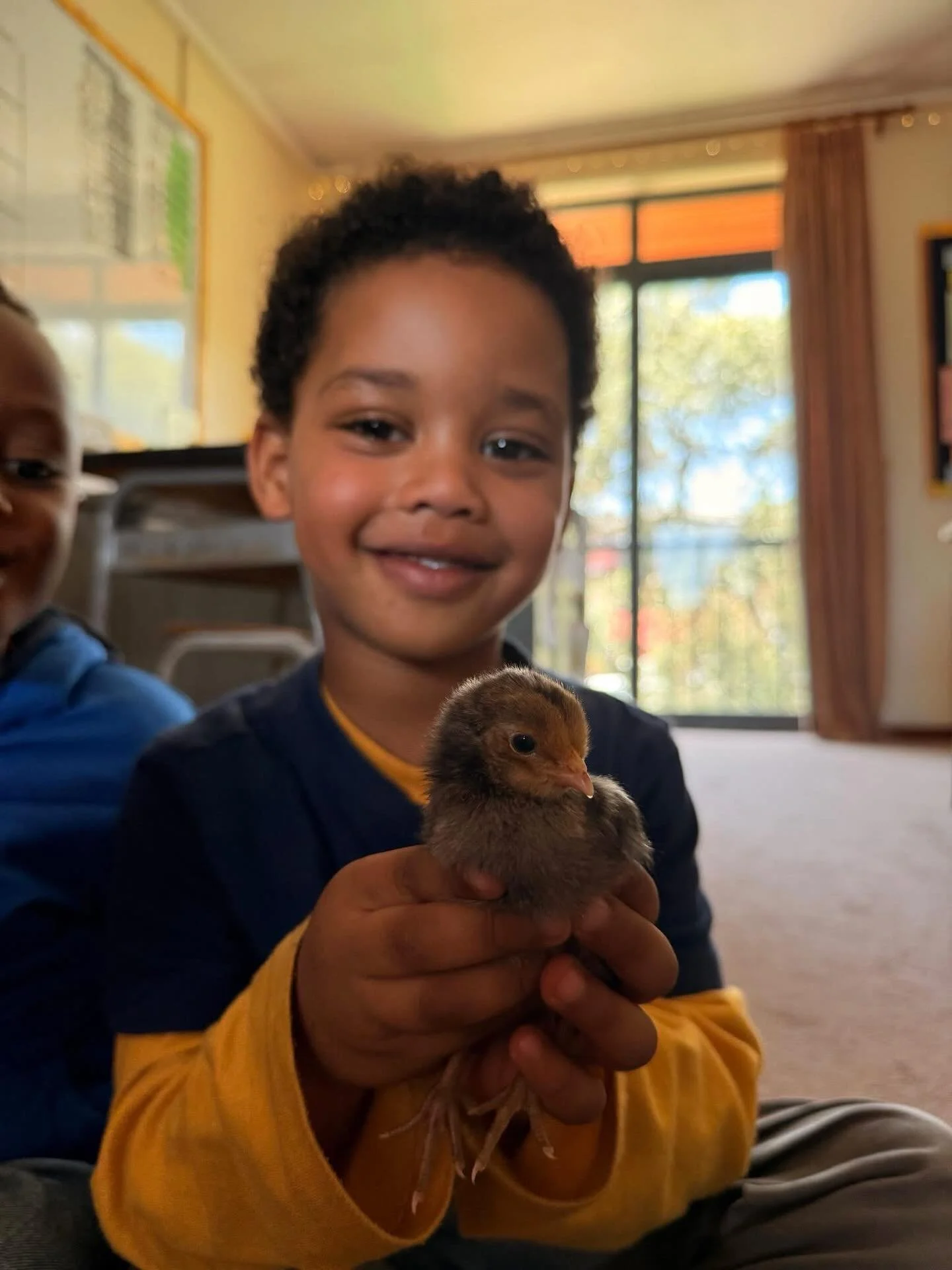 🐣New life in the classroom!

Big smiles and tiny chicks! 💛
Our elementary students got to watch their eggs hatch and meet their new feathered friends!