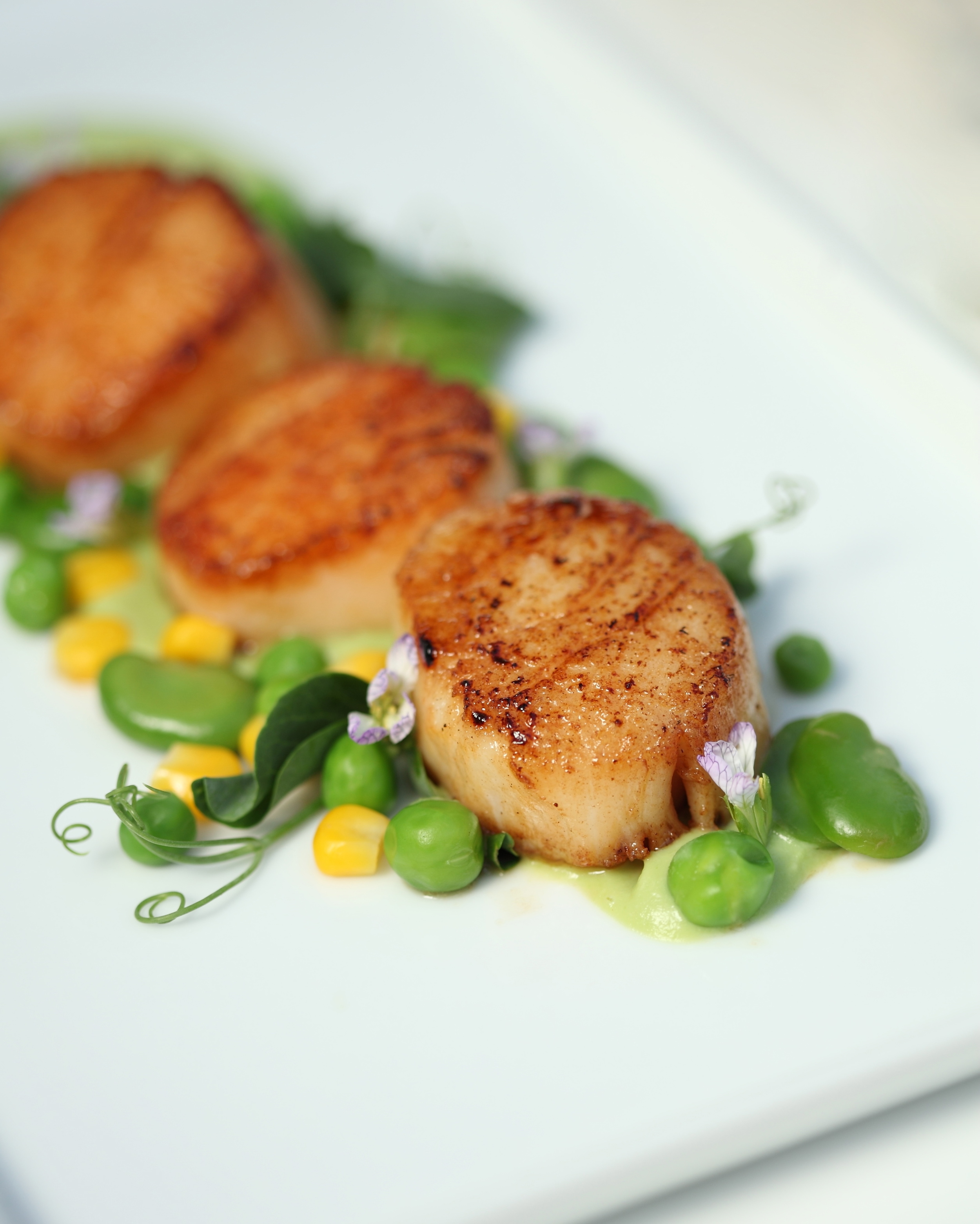 Anna Ostberg-Casanova _MG_3657 copy.JPG