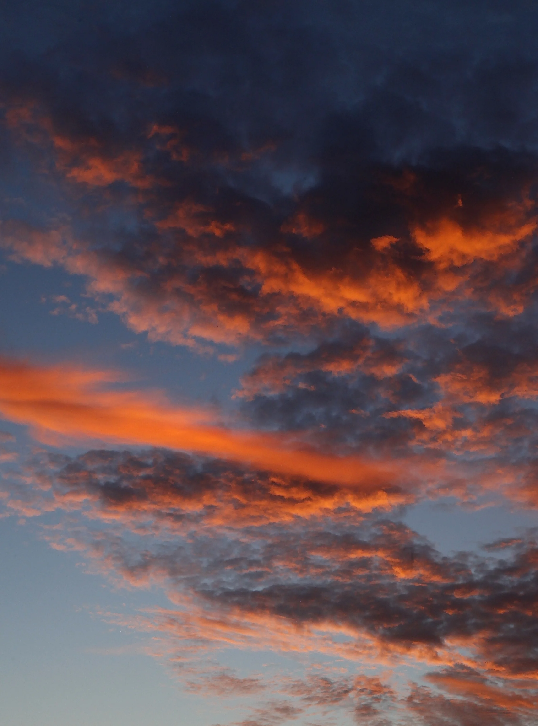 _MG_4369.jpg