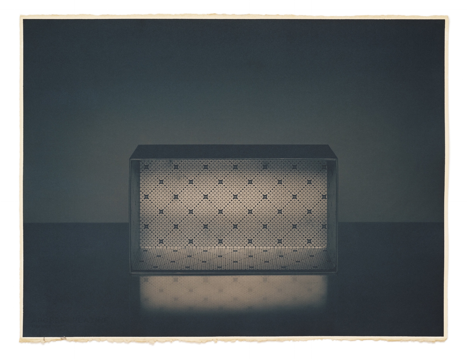 "Gordon Rush" from the series Le Scarpe. Toned Cyanotype, 22x30.