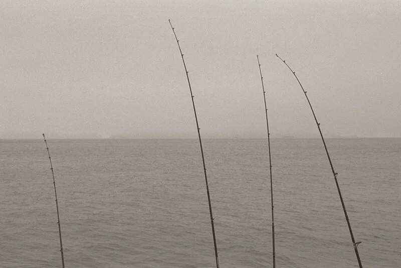 FourFishingPoles.jpg